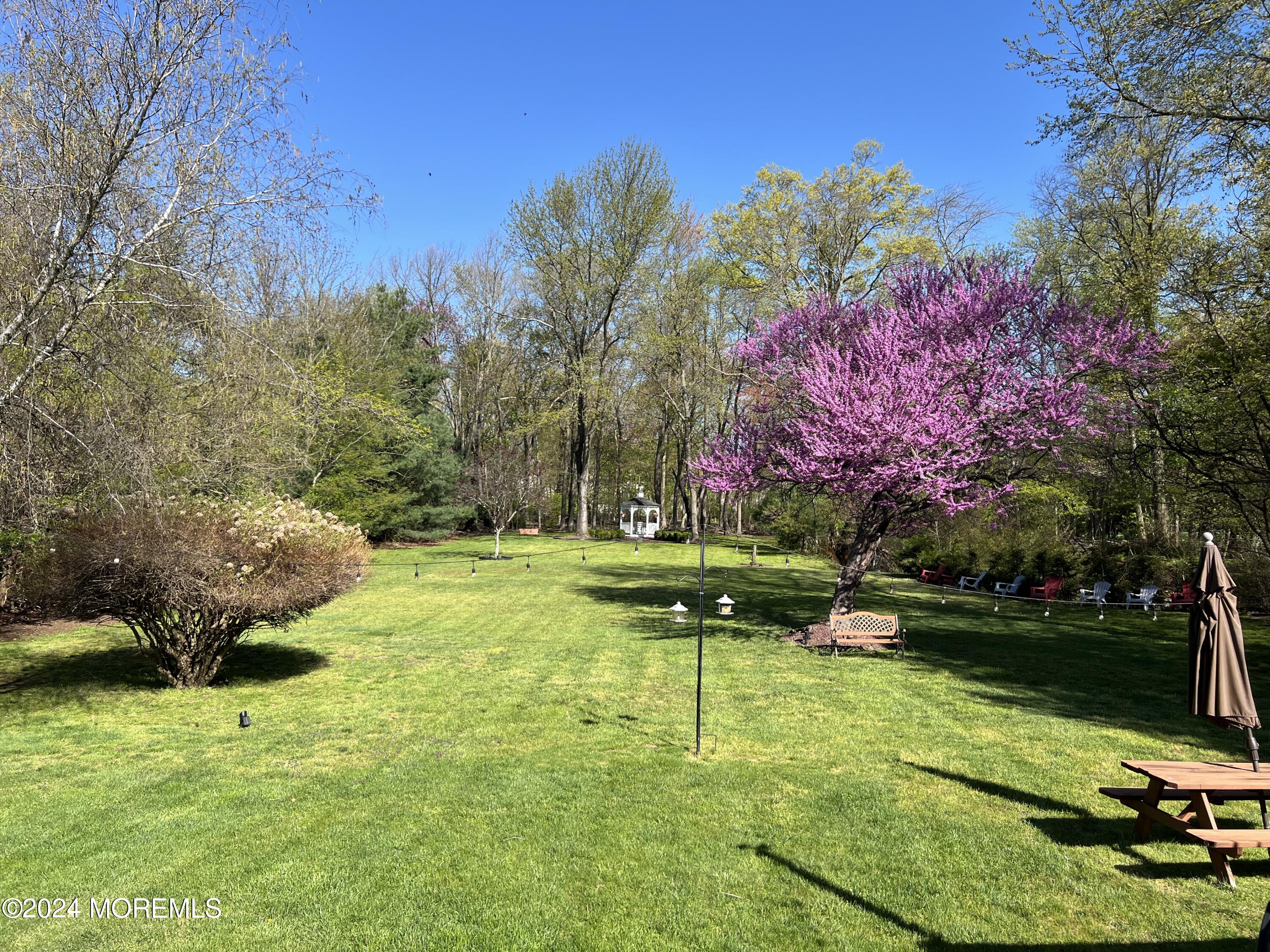 51 Lloyd Road Morganville, NJ 07751 - Photo 39 of 54 a view of a park with large trees