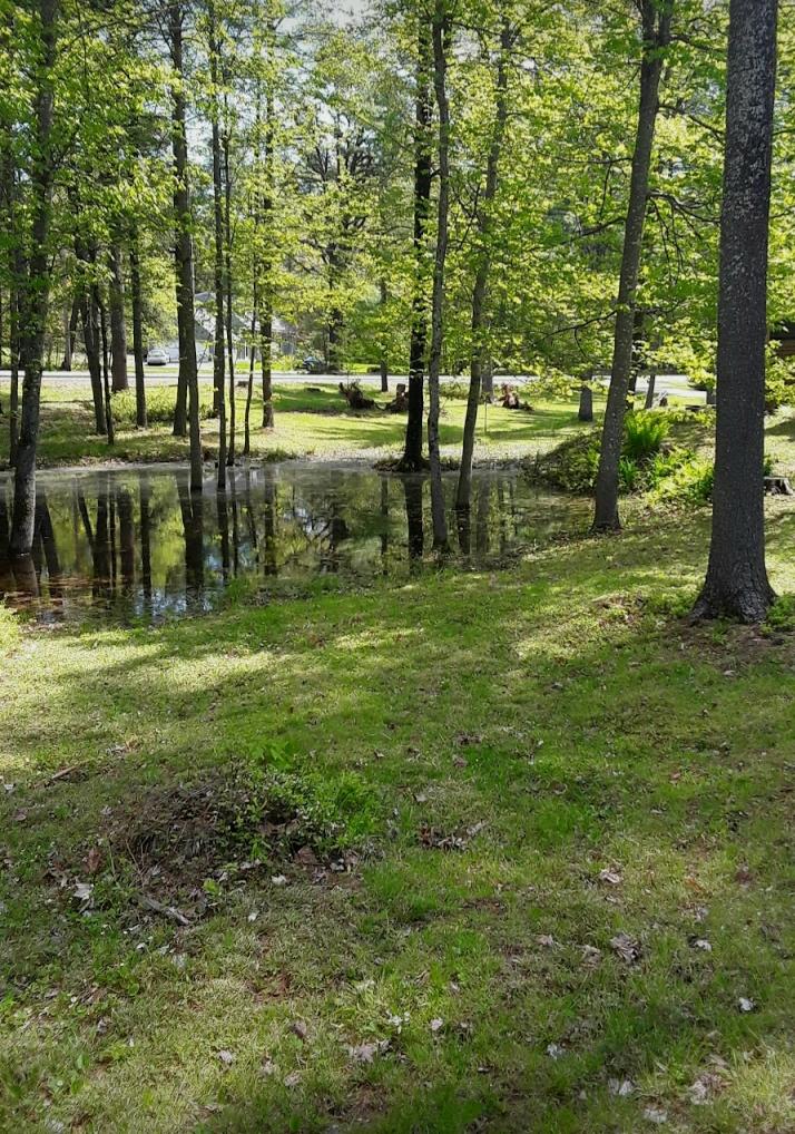 1274 Cape Road Hollis Center, ME 04042 - Photo 72 of 81 72 - 20200505_122436