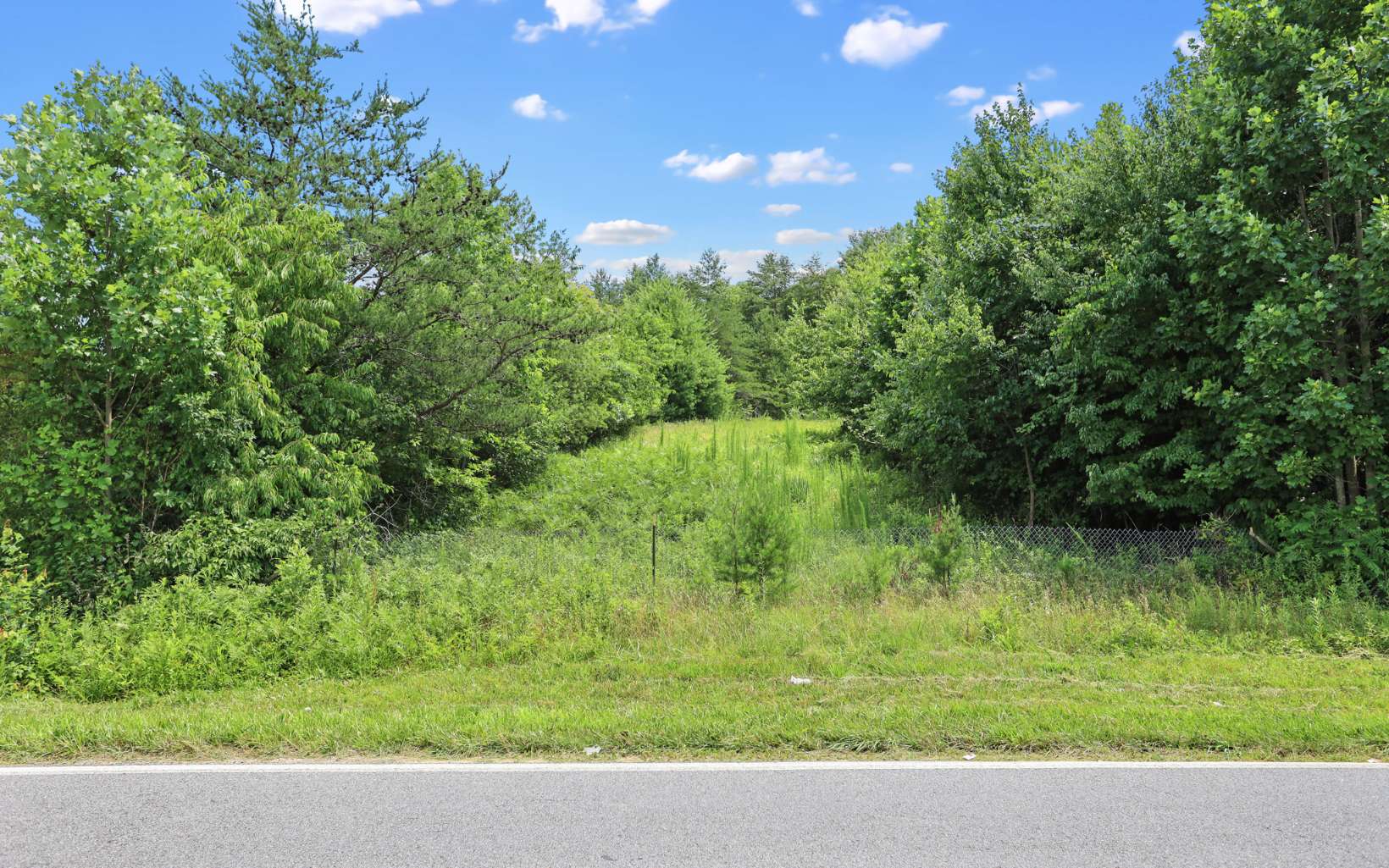 1.826 Nottely Dam Road Blairsville, GA 30512 - Photo 19 of 19 Additional View