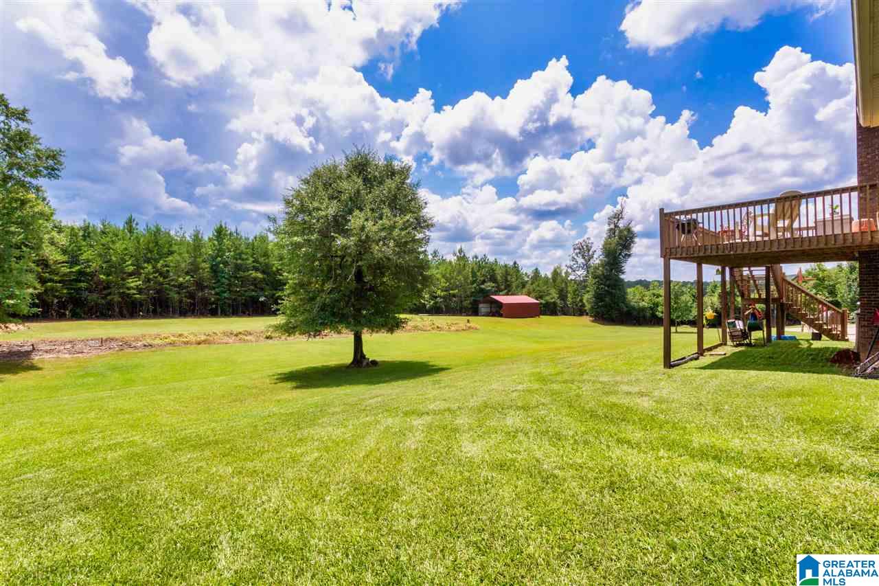 14183 Milldale Road Brookwood, AL 35444 - Photo 34 of 47