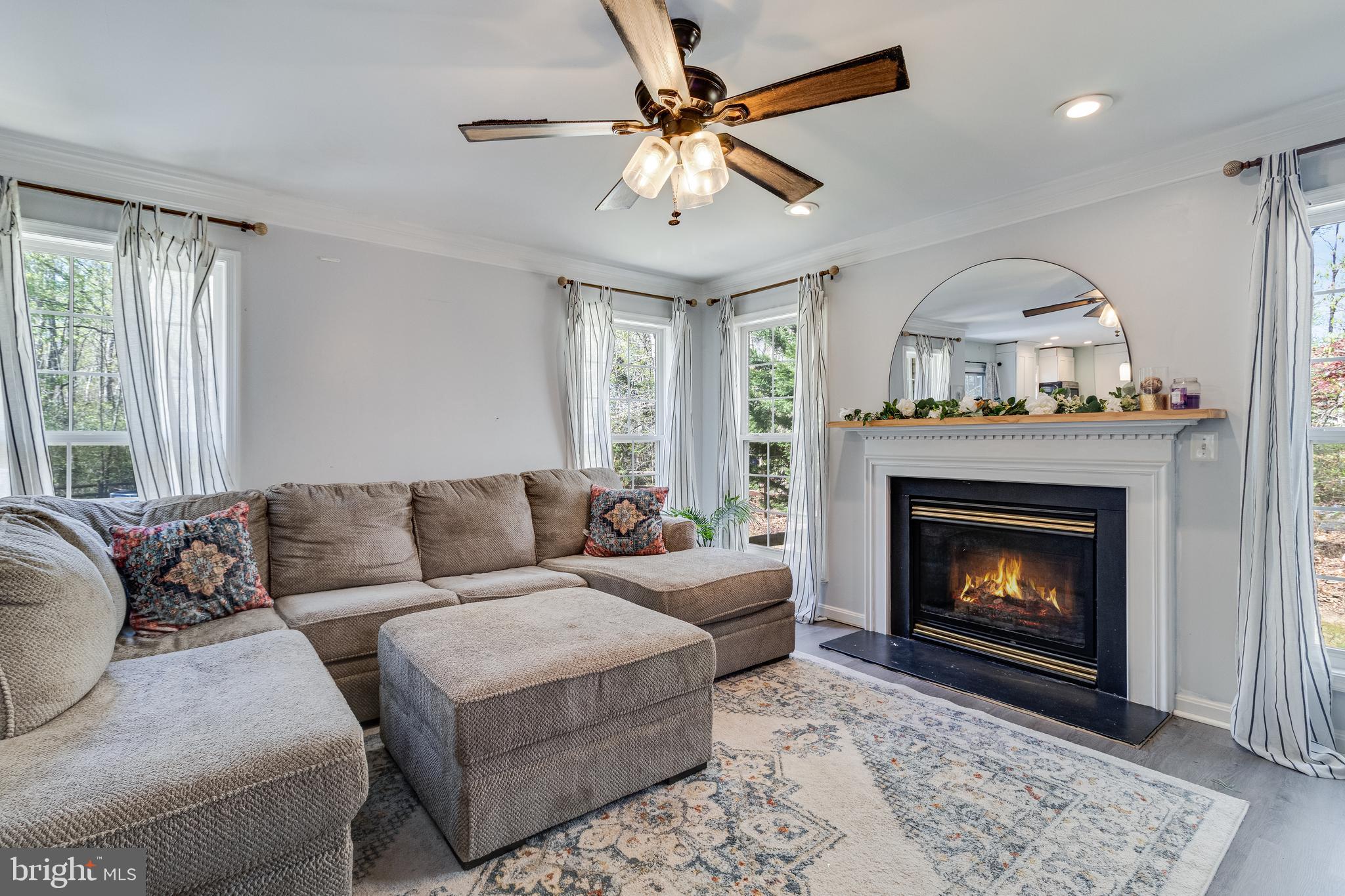 8442 Delegate Drive King George, VA 22485 - Photo 14 of 42 a living room with furniture a chandelier and a fireplace