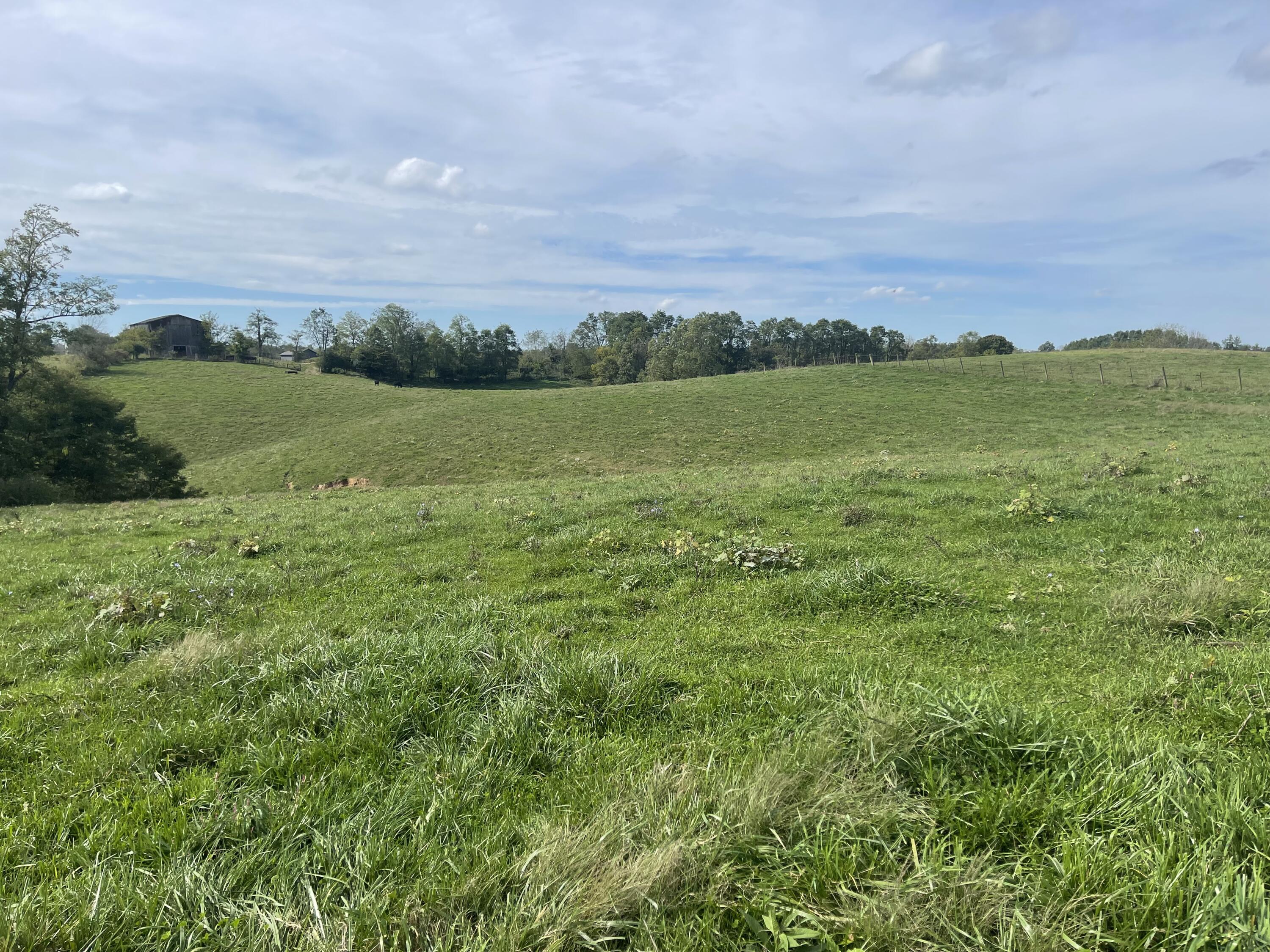 240 Whitlock Road Richmond, KY 40475 - Photo 27 of 43 7CD3C176-7C6B-4401-AA98-D4D7076E4A7D