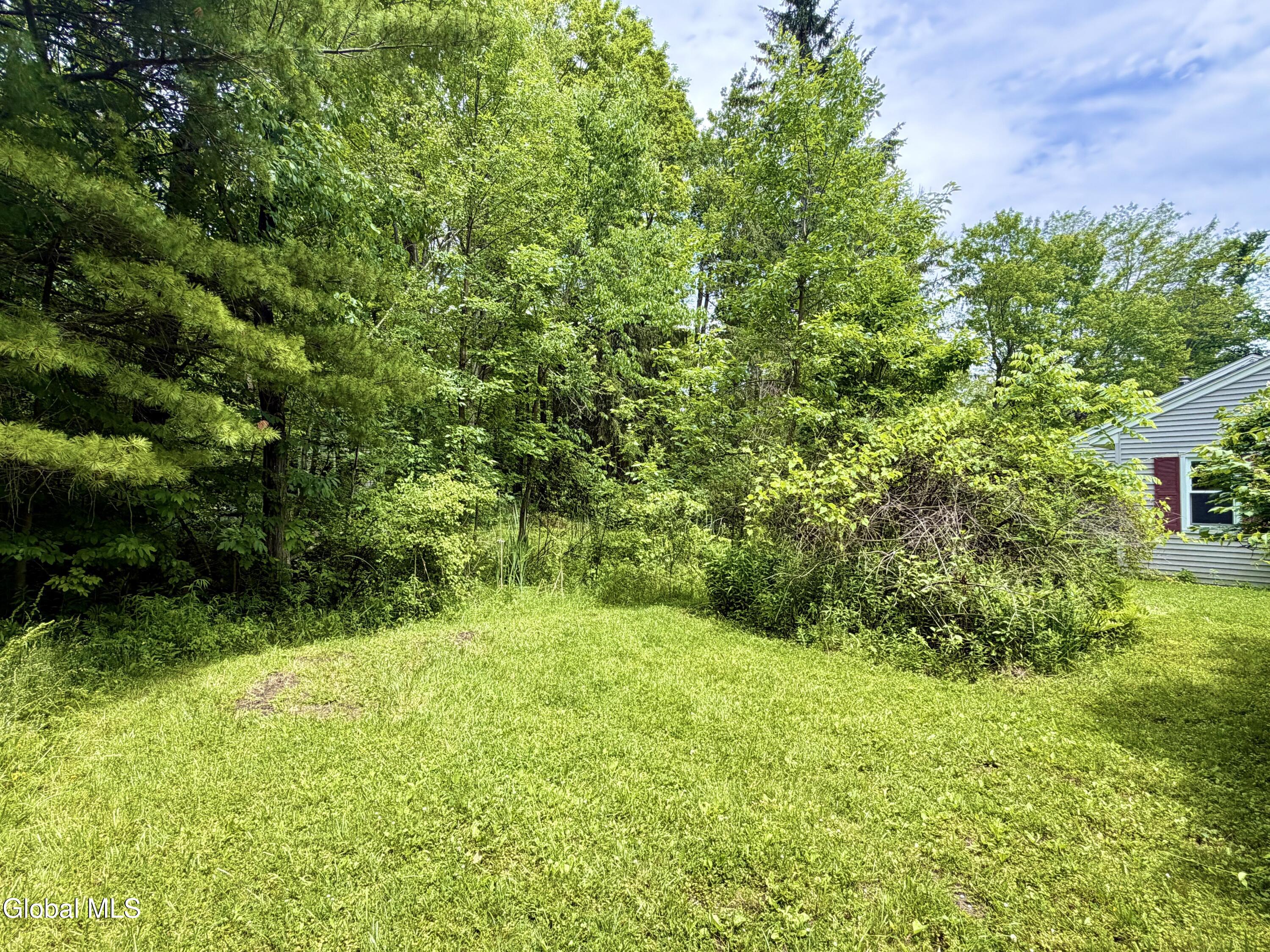 166 Potter Road Glenville, NY 12010 - Photo 37 of 38 Potter Back 5