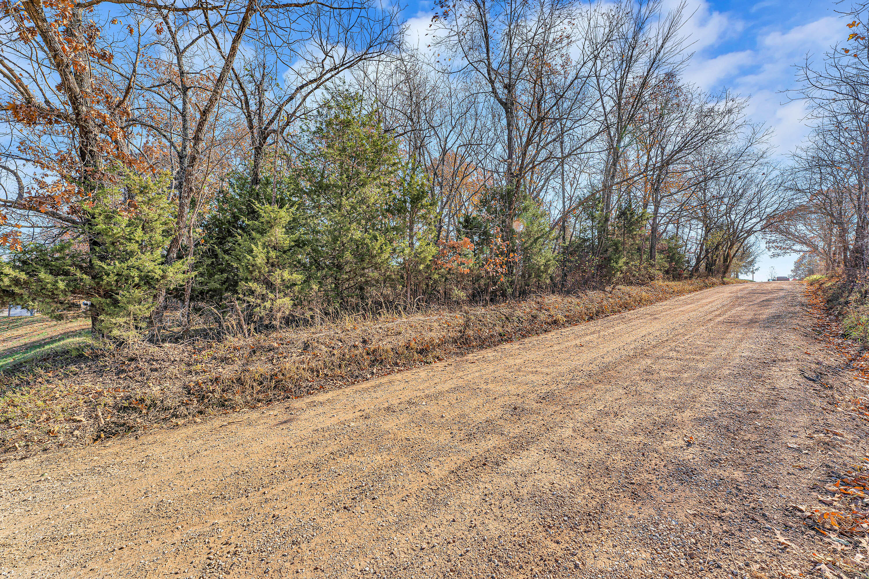 7800 St George Road Hartville, MO 65667 - Photo 14 of 35 StGeorge-87-34