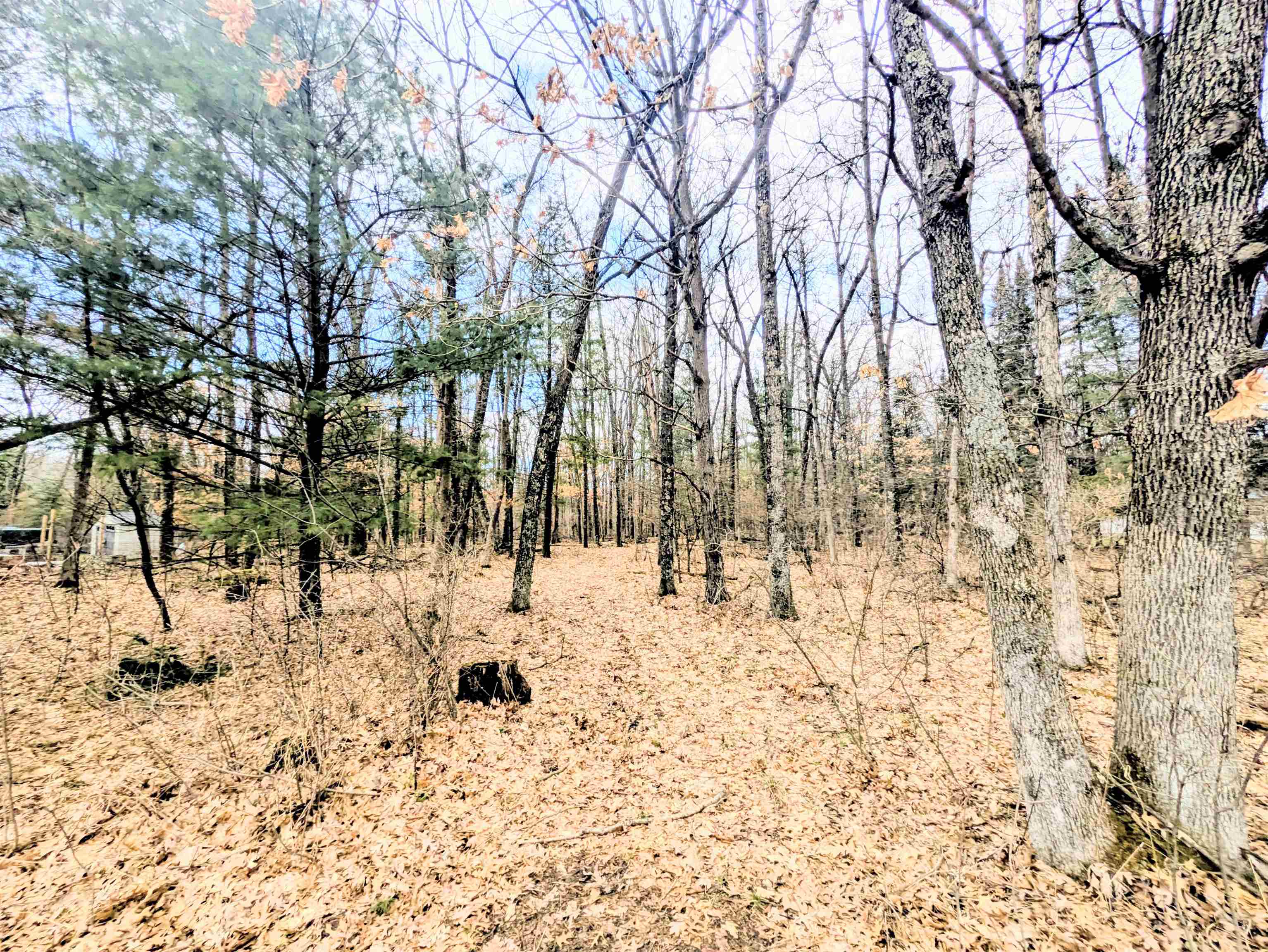 0 11th Friendship, WI 53934 - Photo 2 of 7