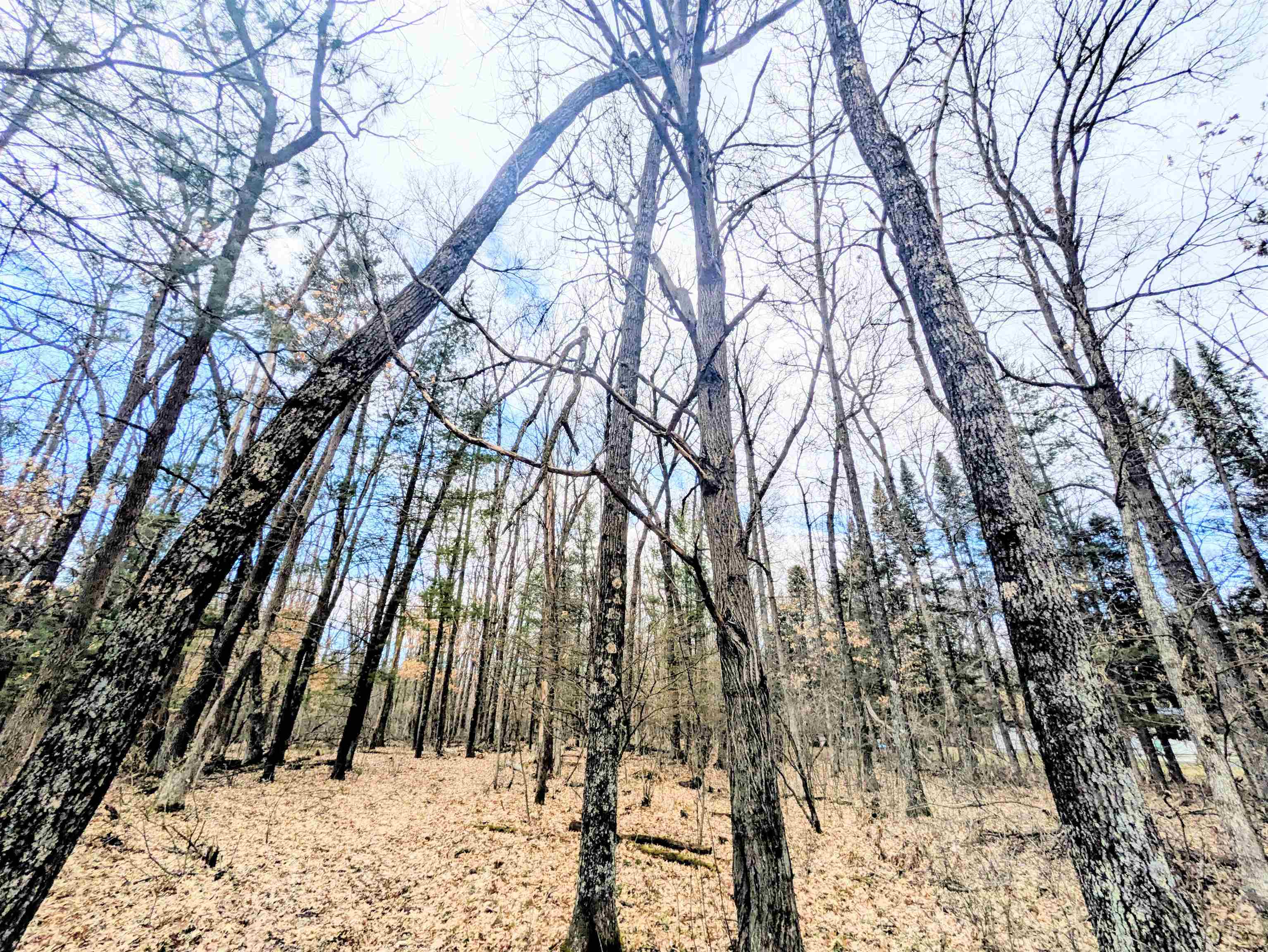 0 11th Friendship, WI 53934 - Photo 3 of 7