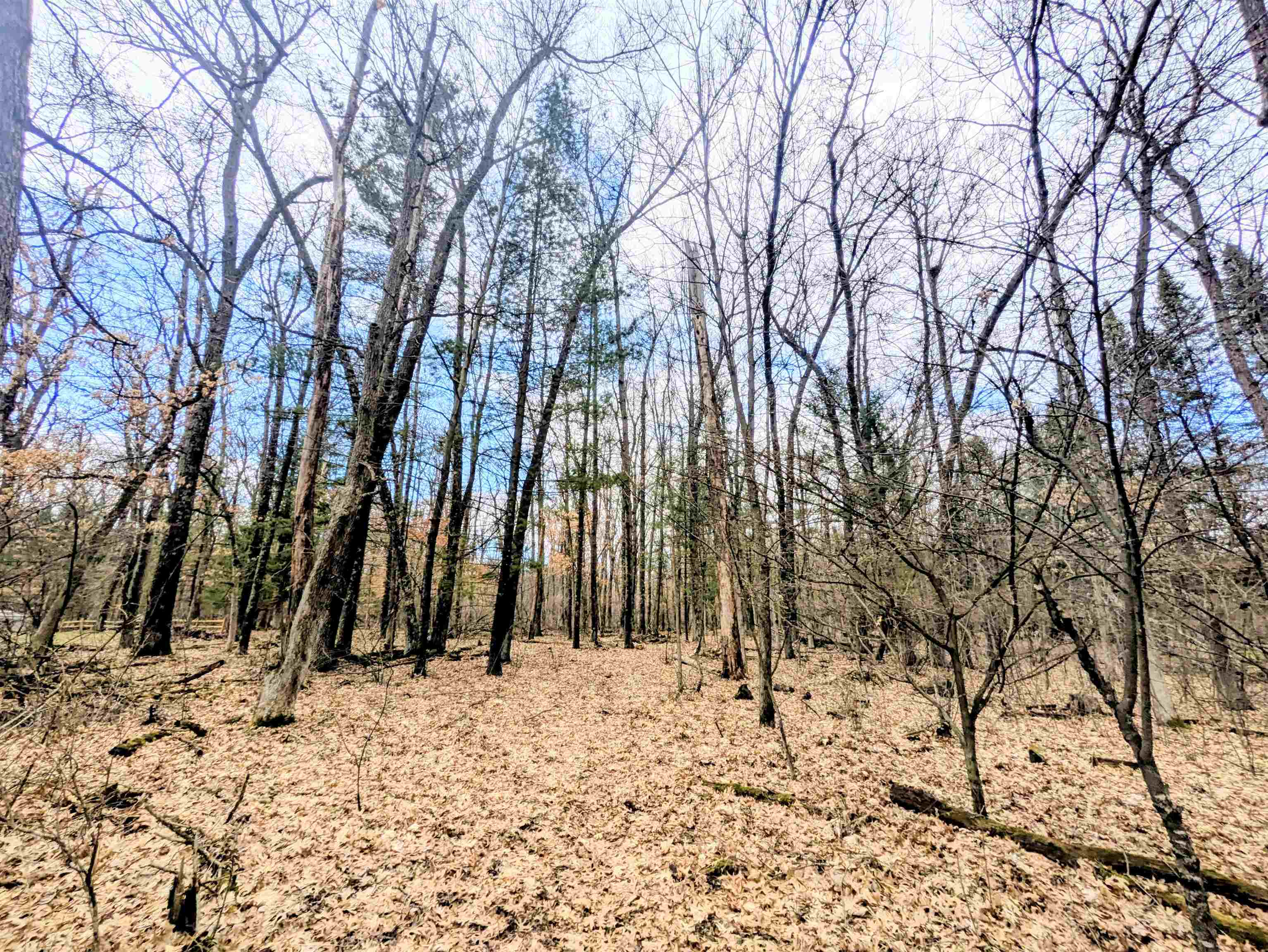 0 11th Friendship, WI 53934 - Photo 4 of 7