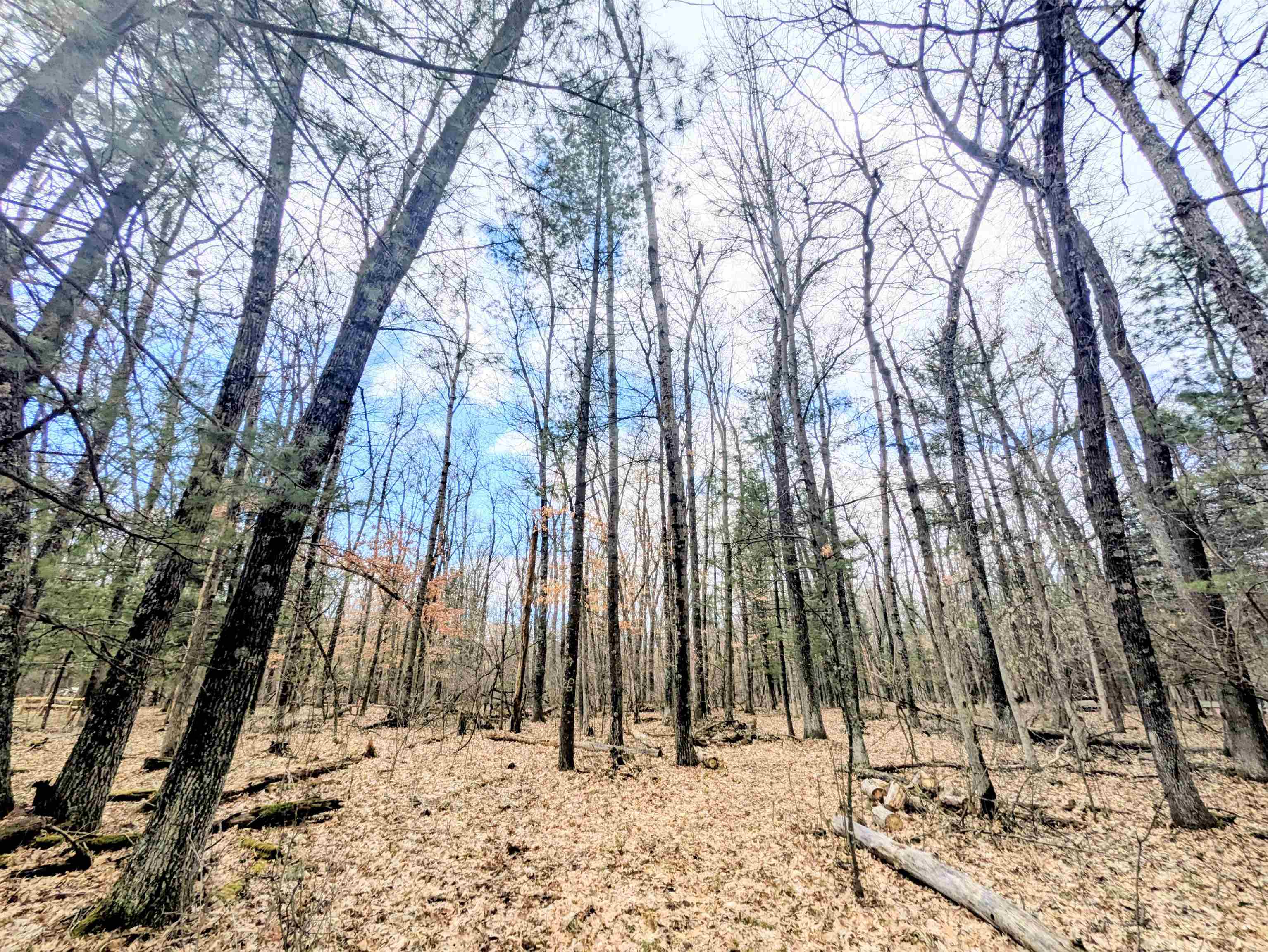 0 11th Friendship, WI 53934 - Photo 5 of 7