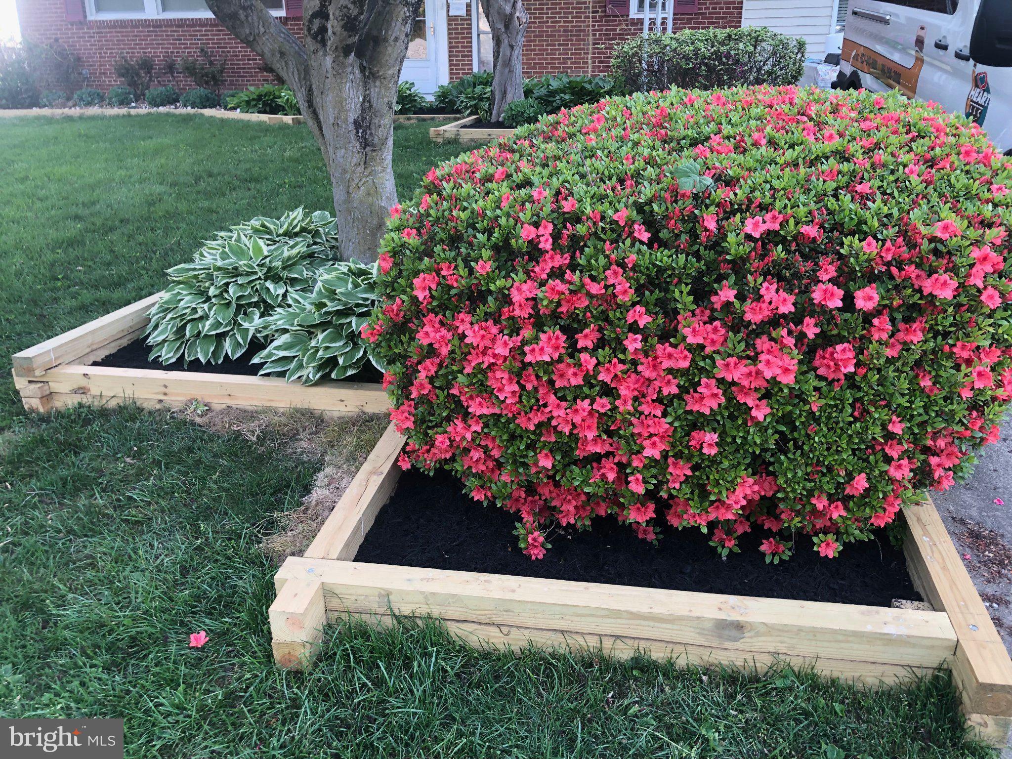 5350 Ravensworth Road Springfield, VA 22151 - Photo 12 of 15 Vibrant blooms in a lush garden bed.