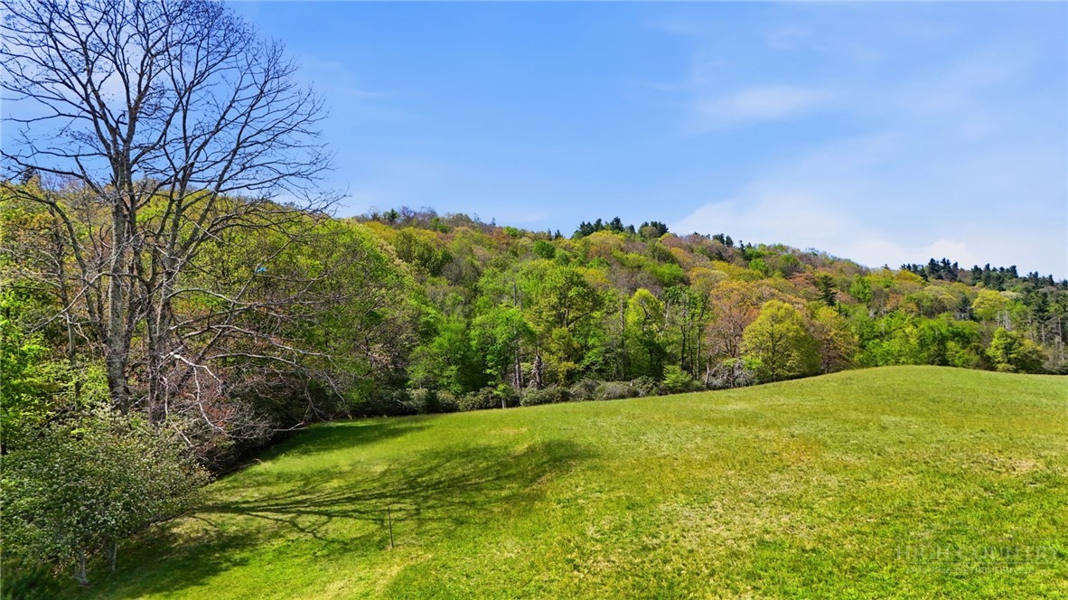 Sampson Road Boone, NC 28607 - Photo 2 of 13