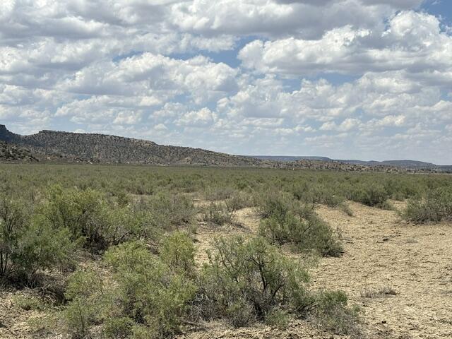 1 County Road Gallup, NM 87301 - Photo 27 of 47 Gallery Image 27