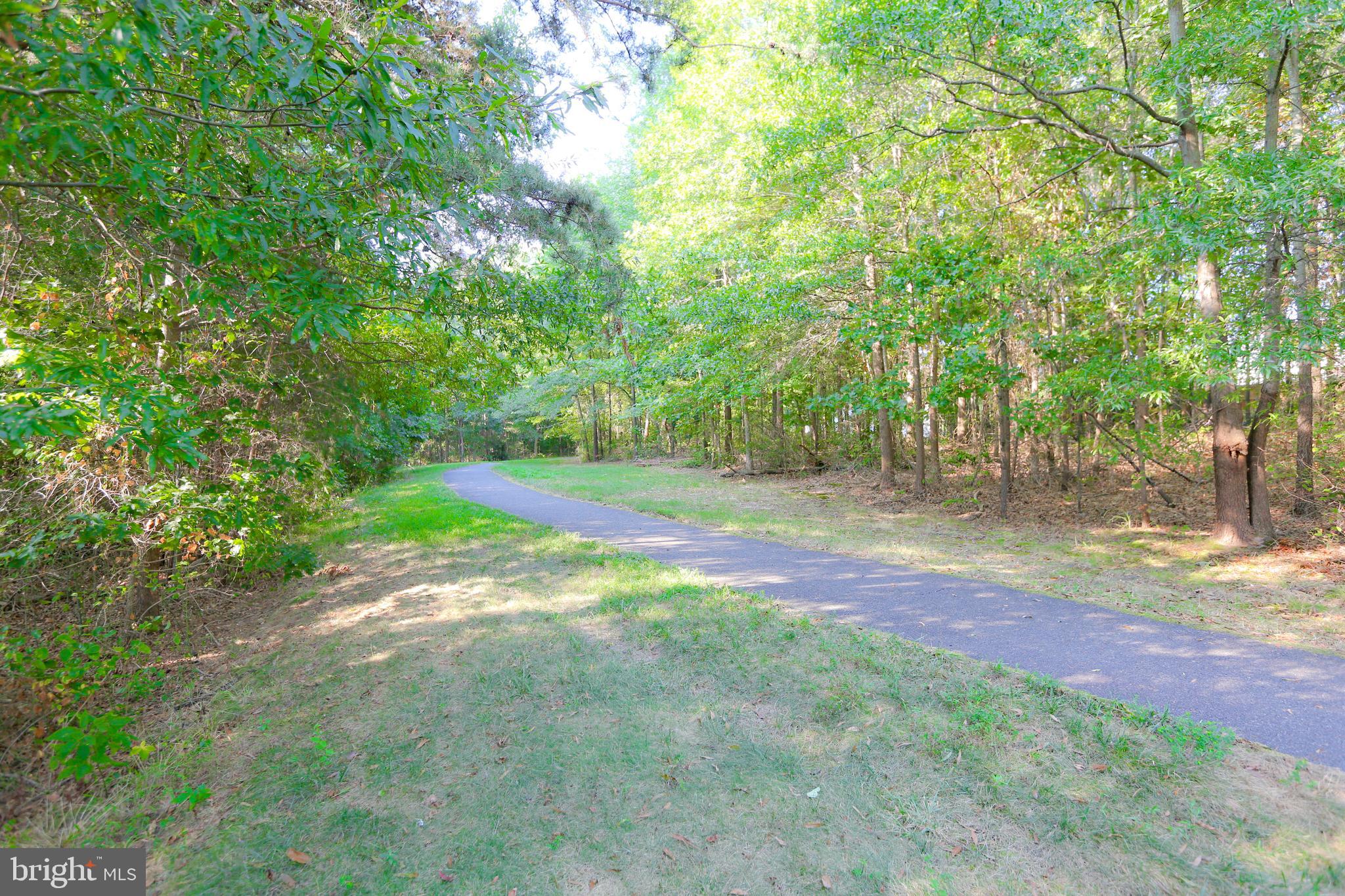 7302 Hampton Manor Place Springfield, VA 22150 - Photo 42 of 42