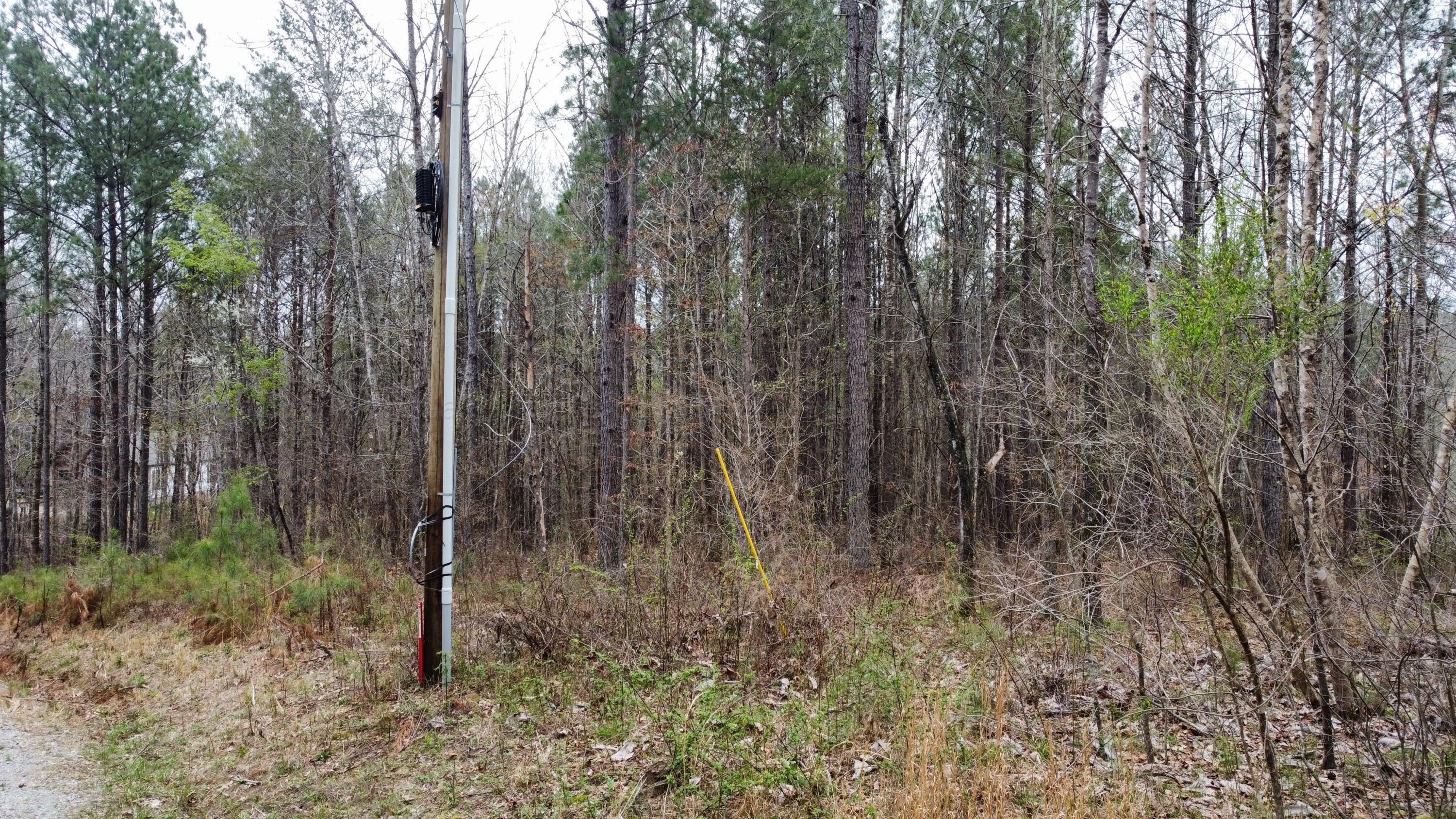 Lot 16 Turkey Bend Addison, AL 35540 - Photo 13 of 19 Gallery Image 13