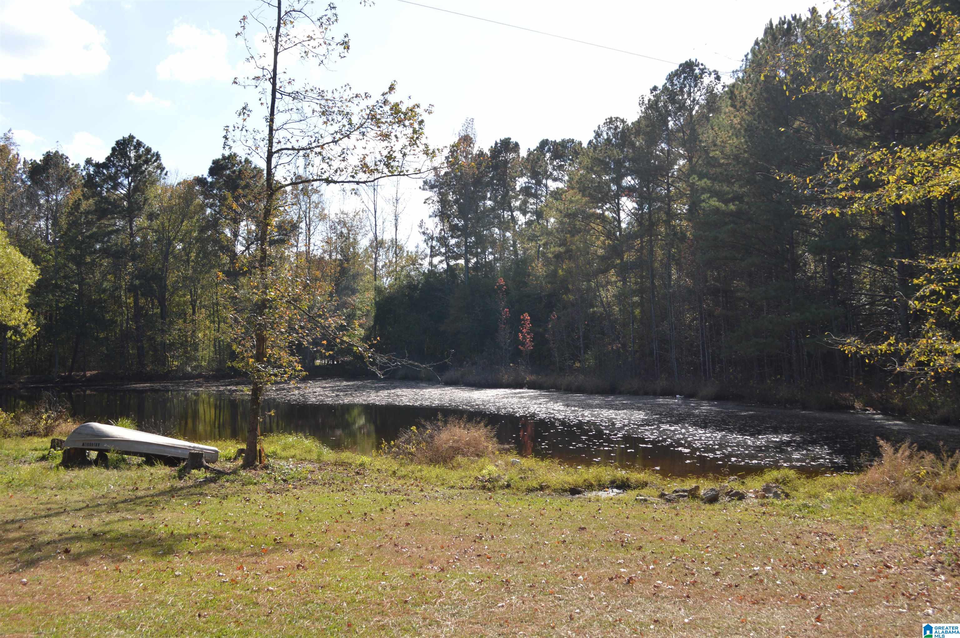 411 Holland-Finley Road Jacksonville, AL 36265 - Photo 6 of 68 Gallery Image 6