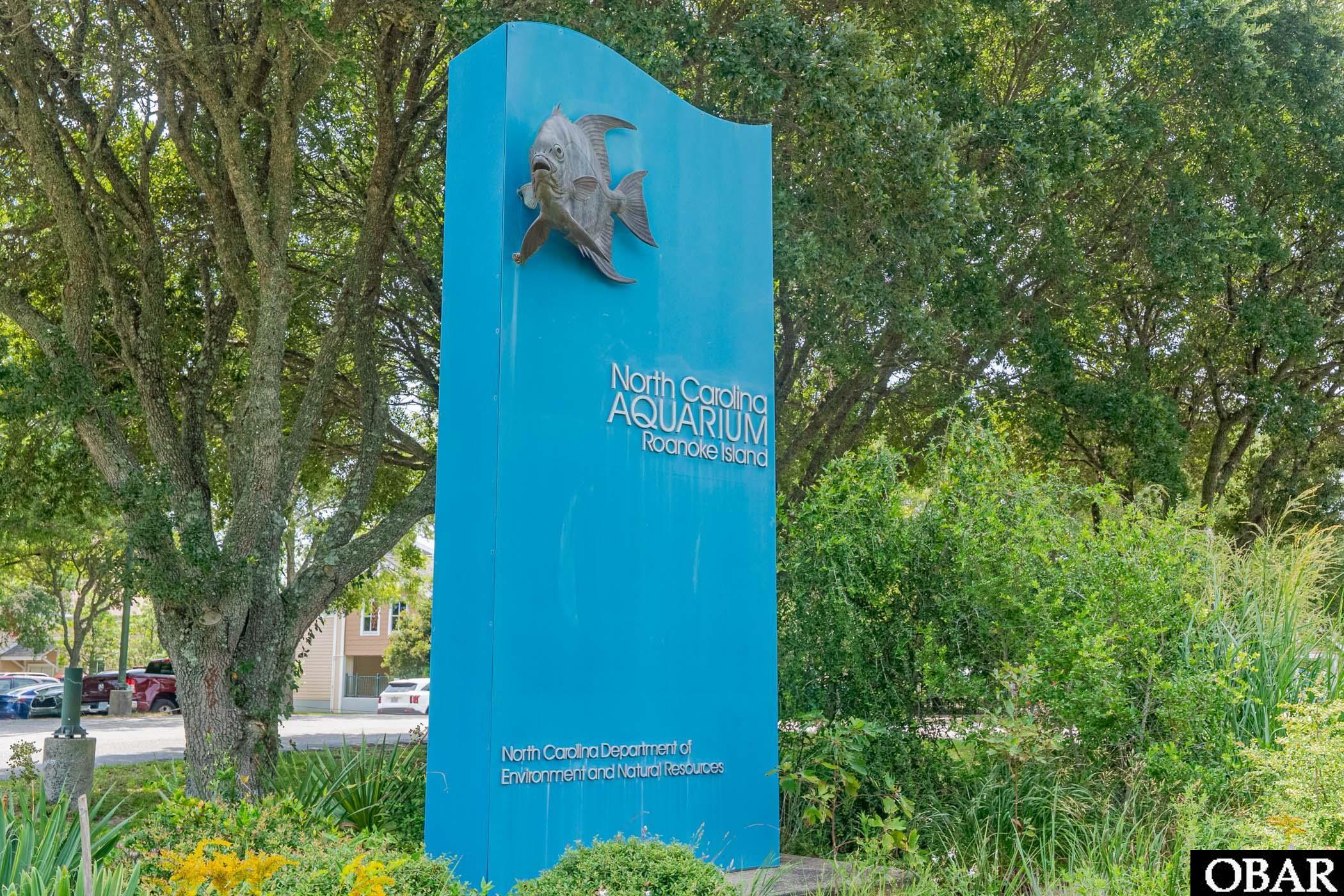 140 Fearing Place, Unit 63 Manteo, NC 27954 - Photo 47 of 50 One of The Best NC Aquariums