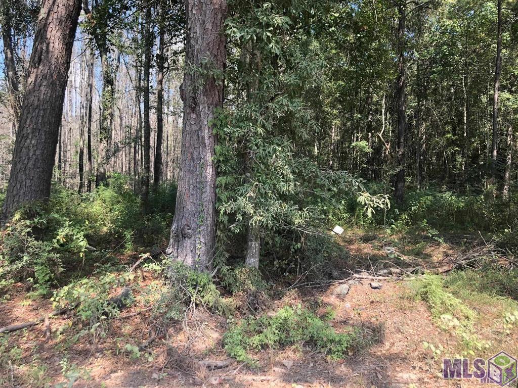 0 Idlewild Road Clinton, LA 70722 - Photo 1 of 6