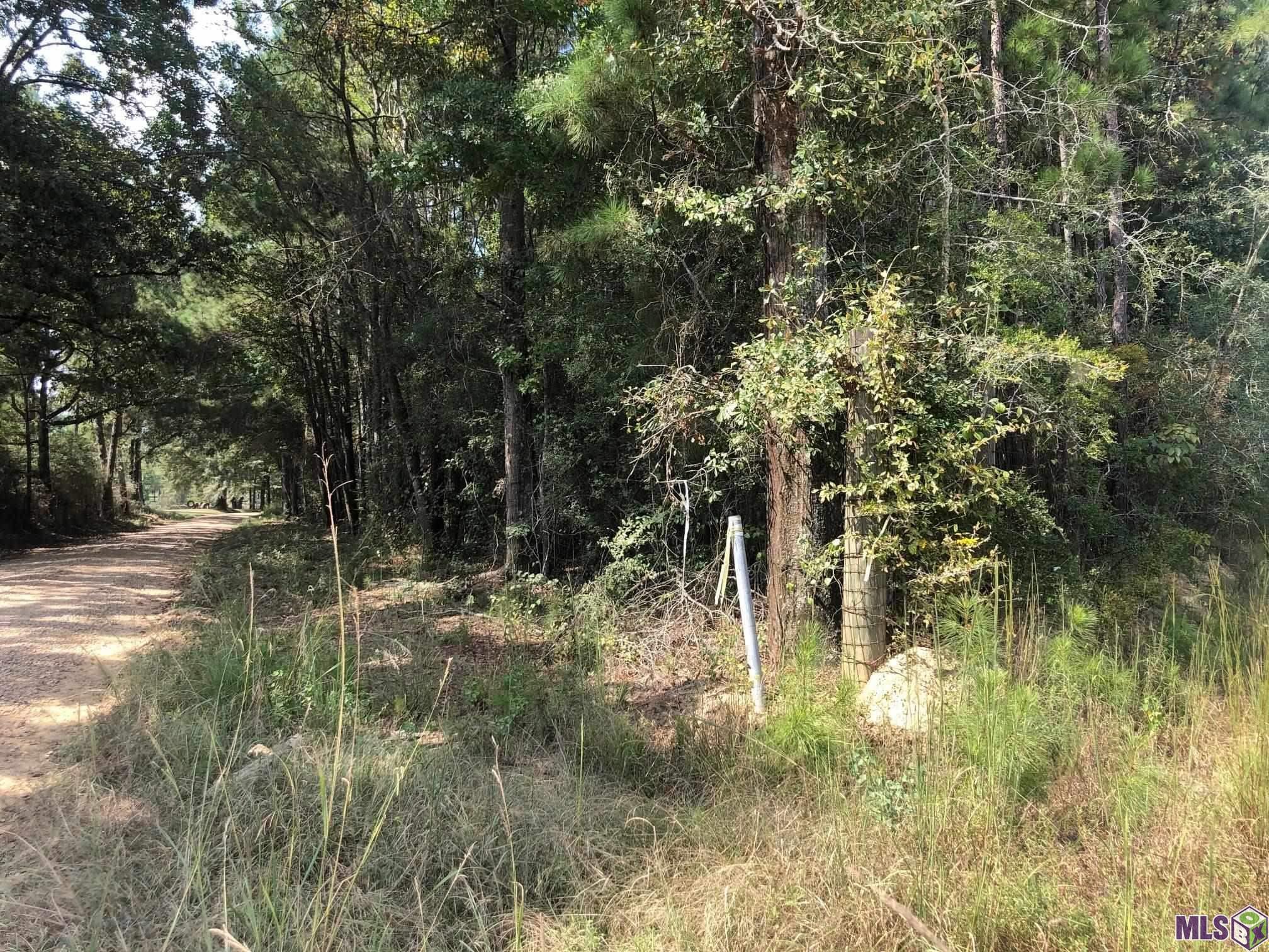 0 Idlewild Road Clinton, LA 70722 - Photo 2 of 6