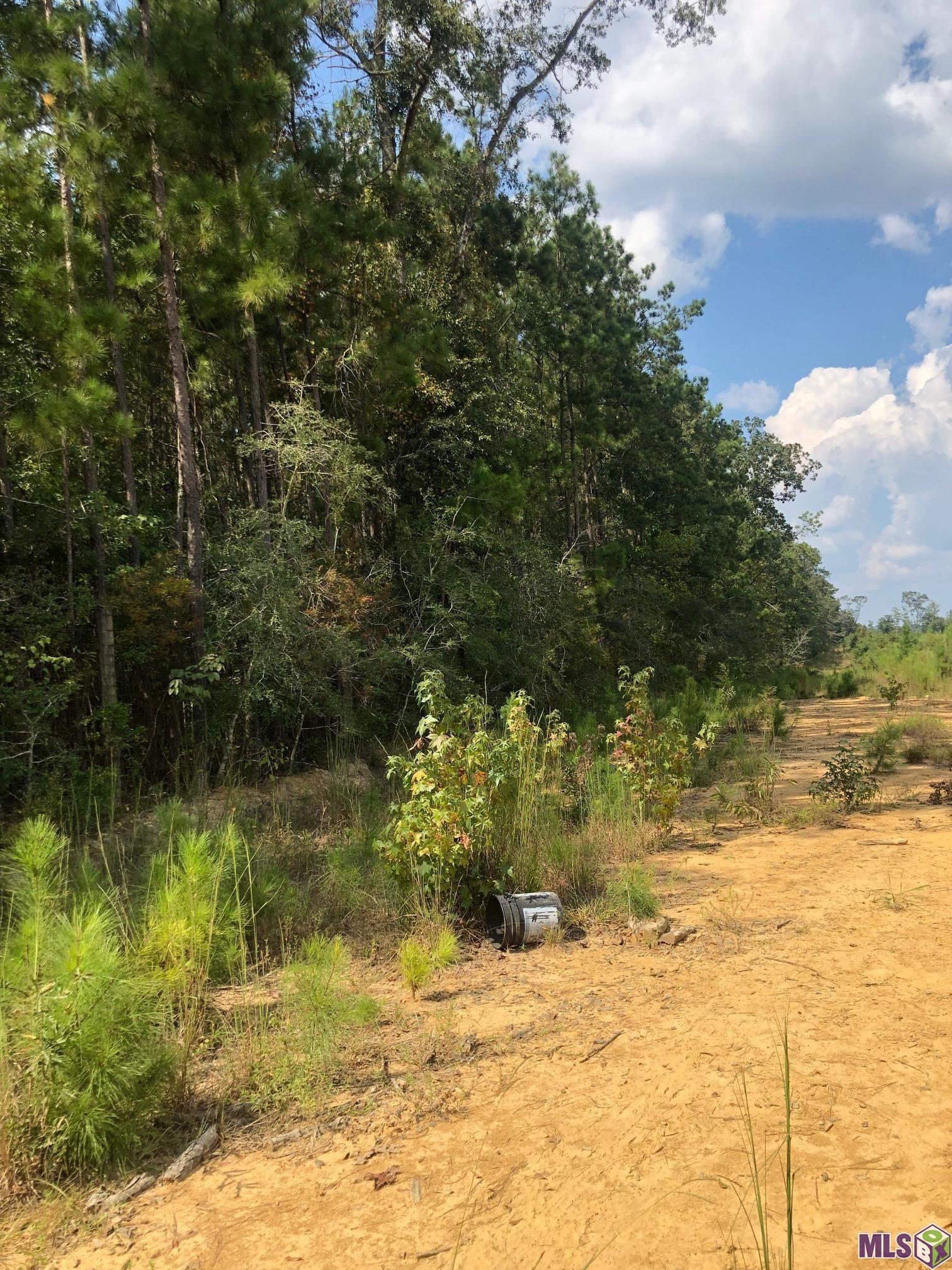 0 Idlewild Road Clinton, LA 70722 - Photo 3 of 6