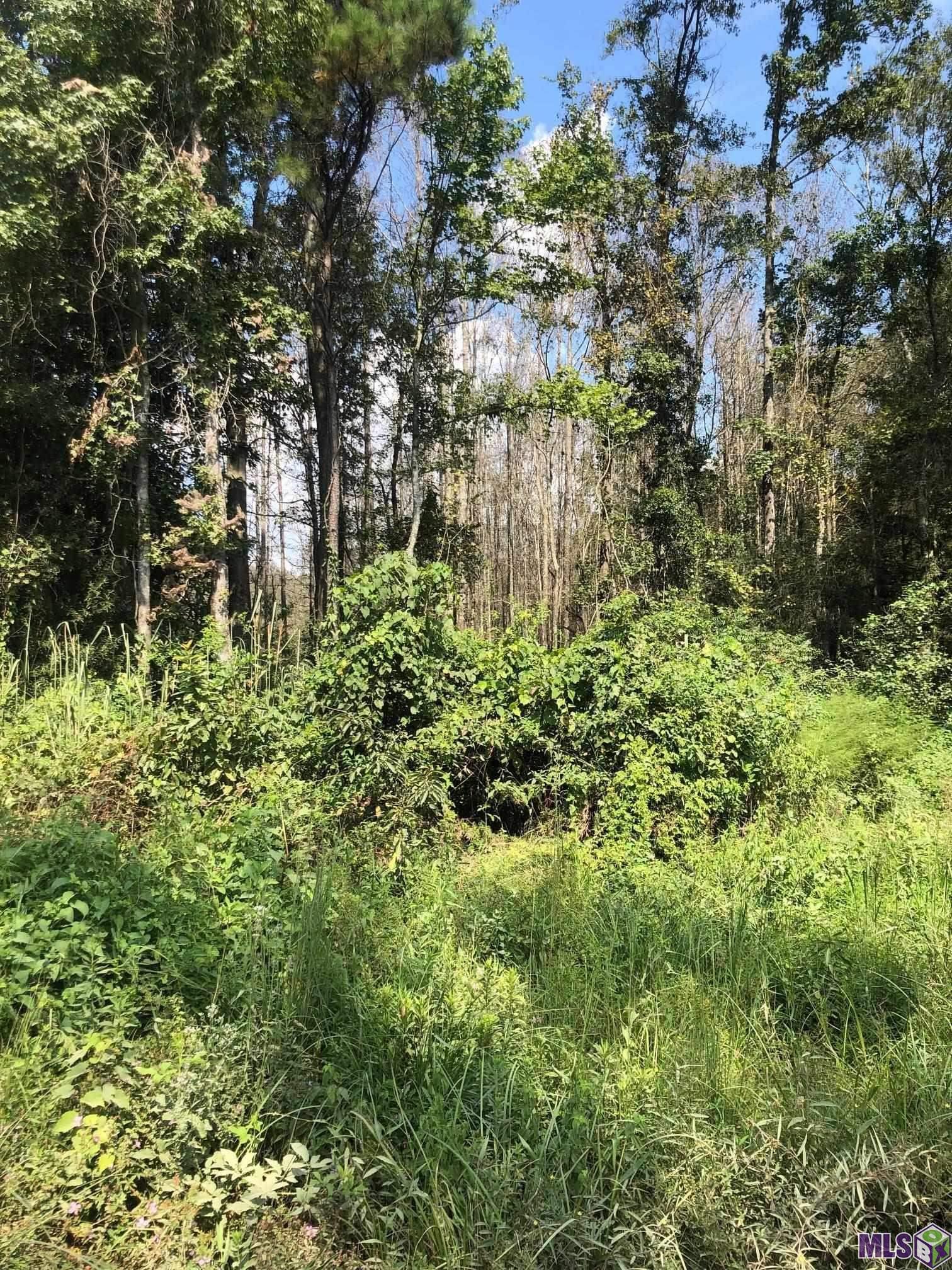 0 Idlewild Road Clinton, LA 70722 - Photo 4 of 6
