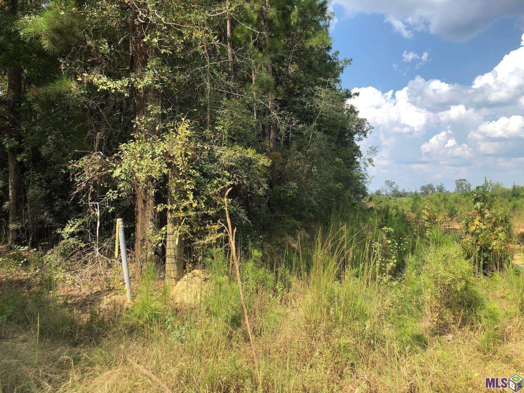 0 Idlewild Road Clinton, LA 70722 - Photo 5 of 6