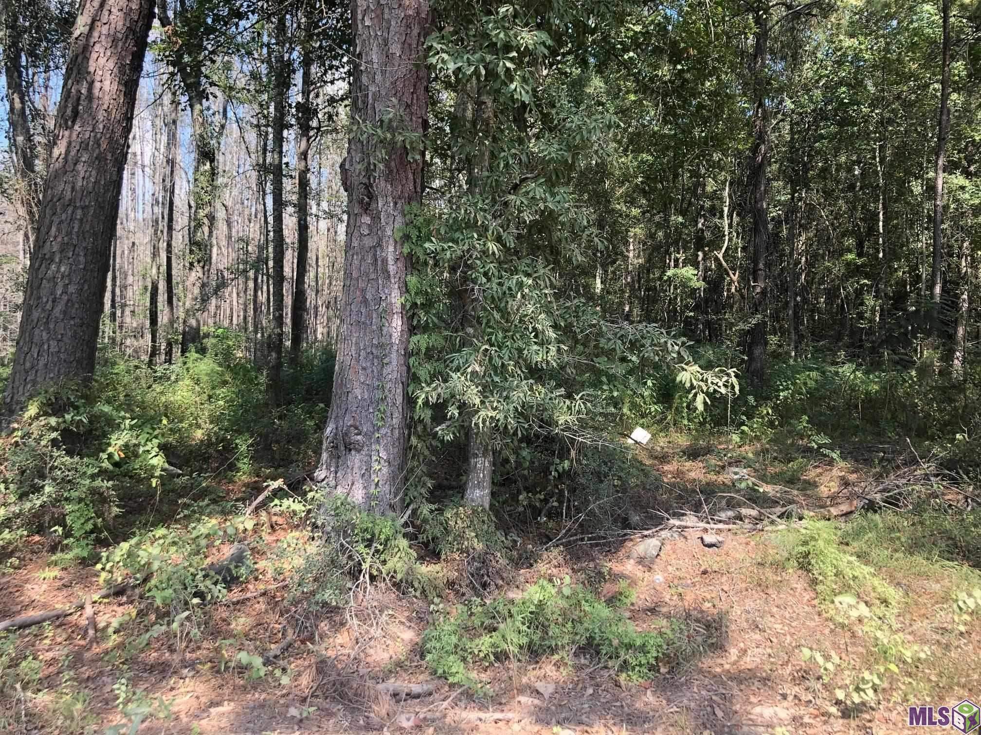 0 Idlewild Road Clinton, LA 70722 - Photo 6 of 6