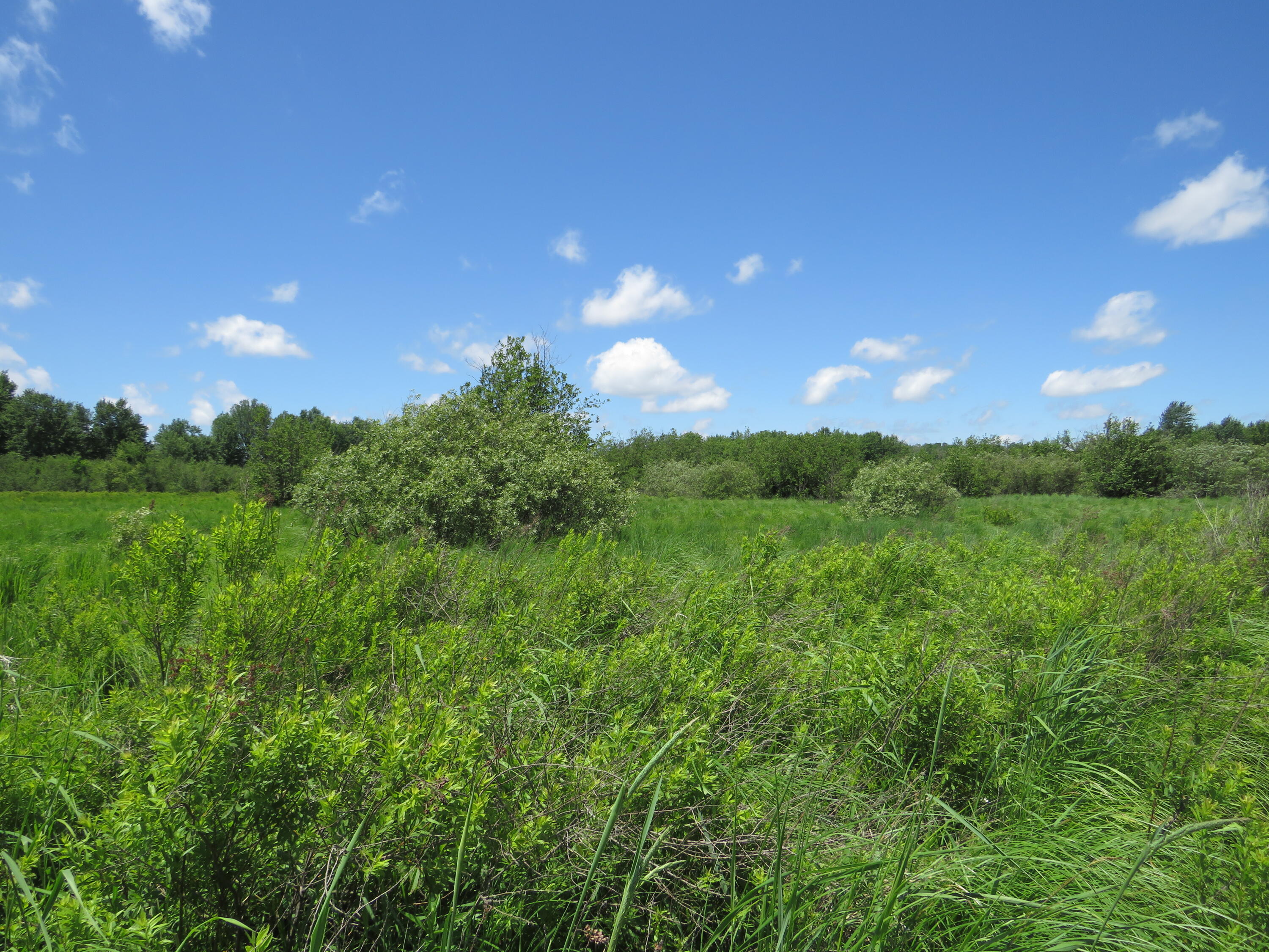 17 17 Mile Road Marion, MI 49665 - Photo 50 of 54 IMG_6823