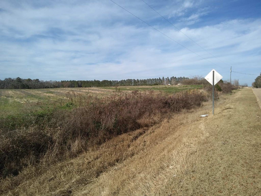 0 Cecil Varnum Road Dothan, AL 36301 - Photo 3 of 4