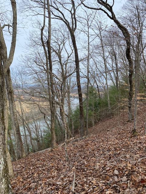 Lot 5 River Road, Unit 5 Decatur, TN 37322 - Photo 1 of 5 Kyle 3
