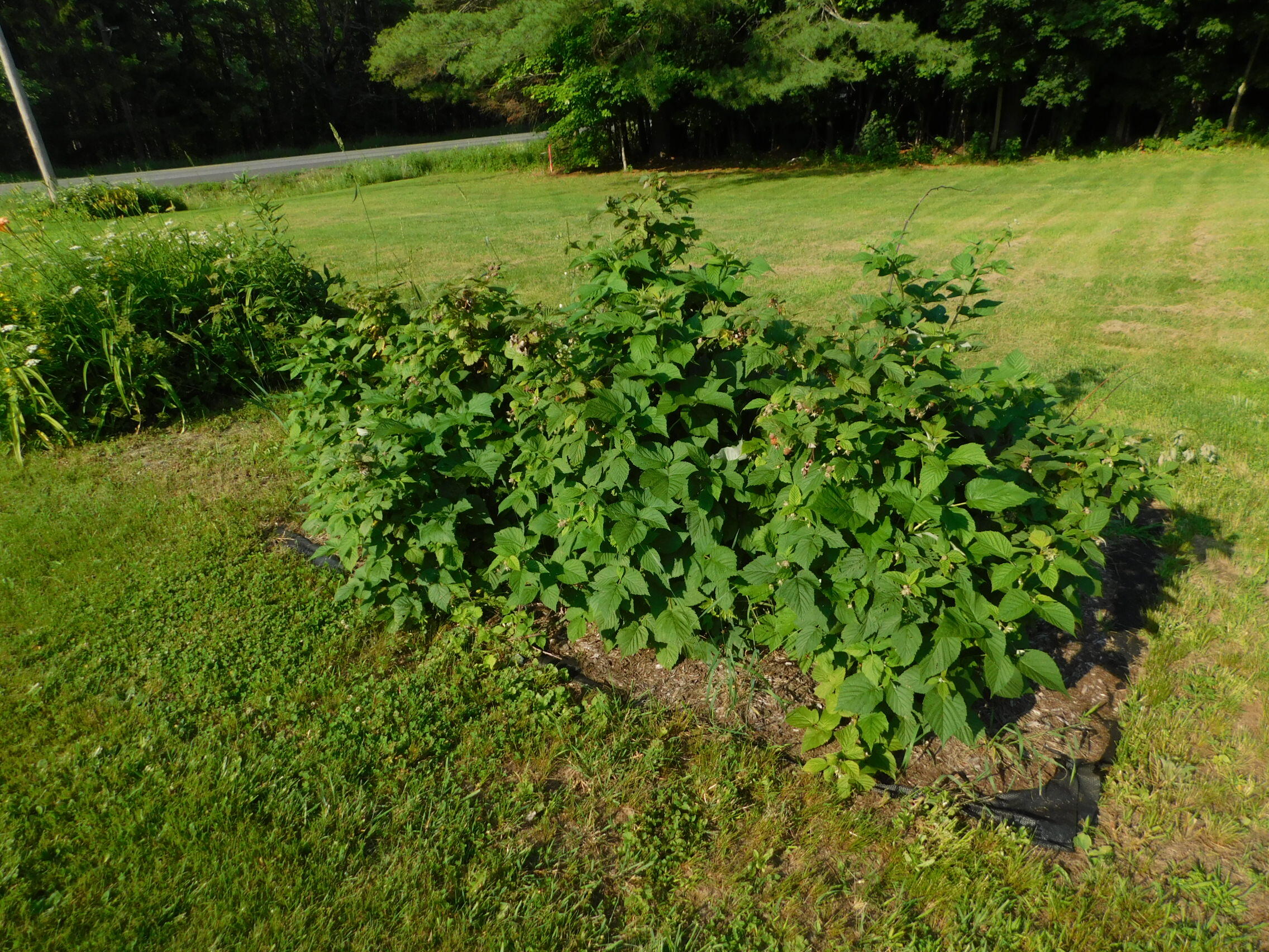 411 White School House Road Madison, ME 04950 - Photo 13 of 40 DSCN3240