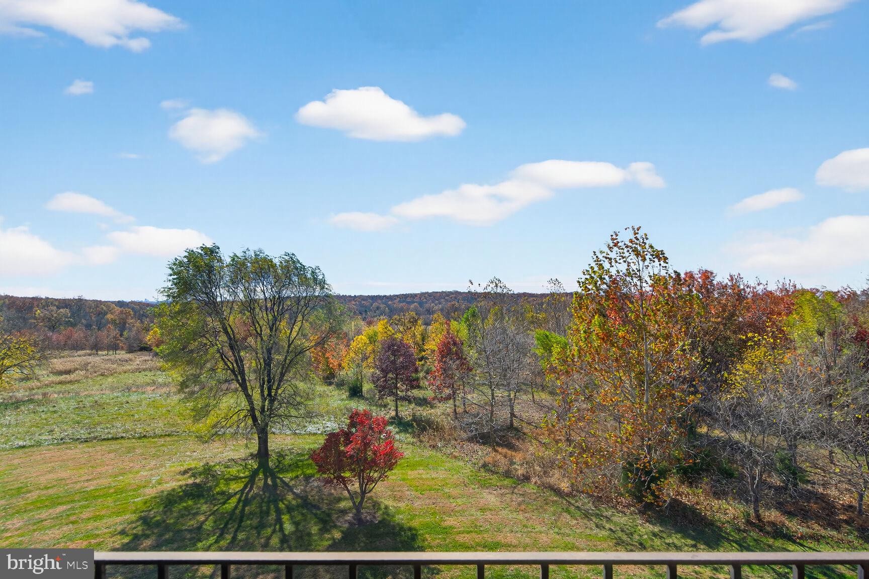 21100 West Offutt Road Poolesville, MD 20837 - Photo 36 of 58 Gorgeous panoramic fall foliage from barn