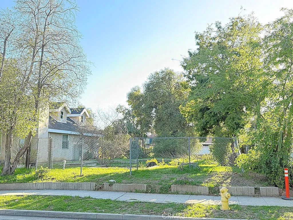 a view of a big yard with plants and large trees