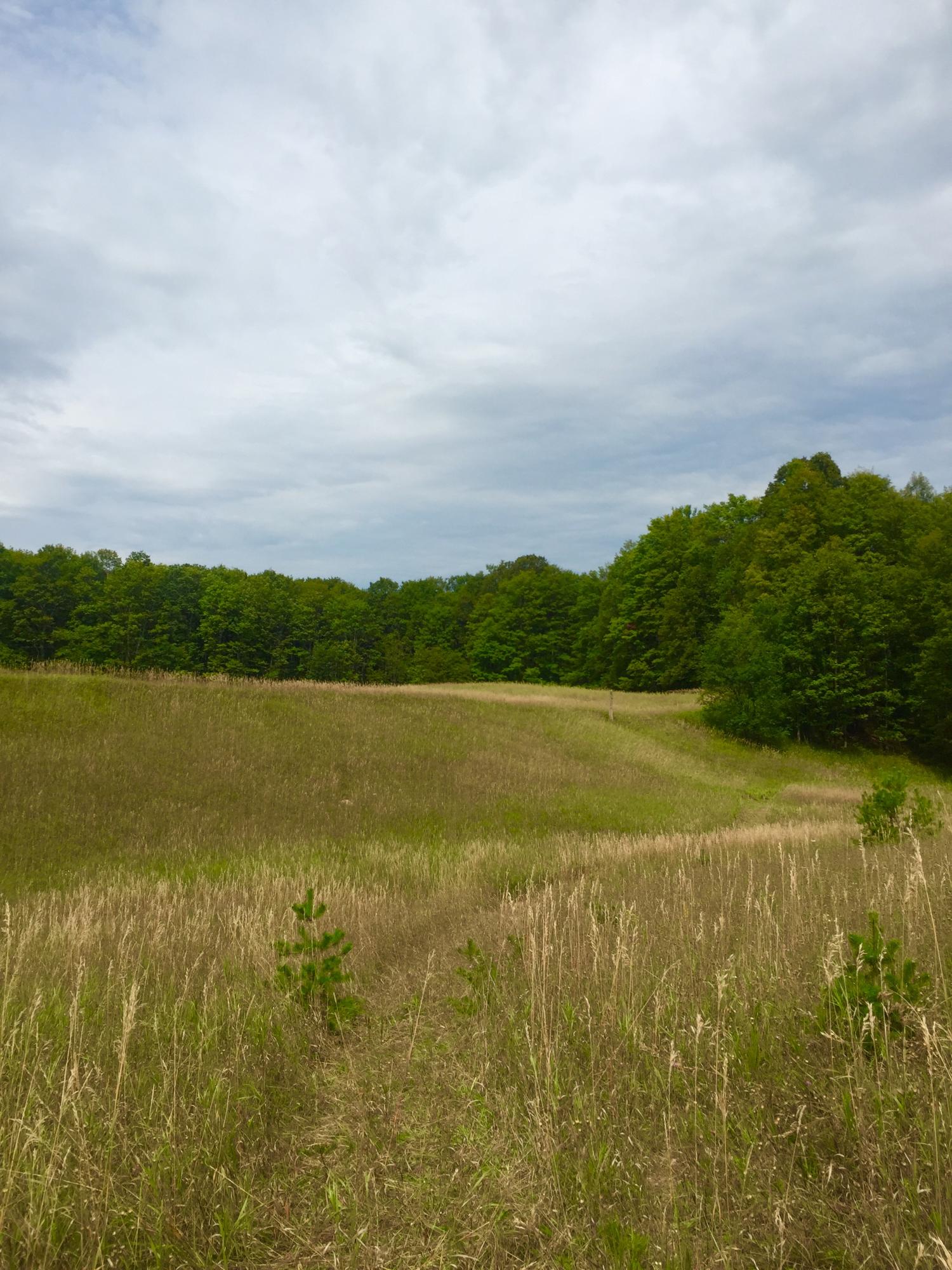 Kujawa Road Gaylord, MI 49735 - Photo 8 of 23 Gallery Image 8