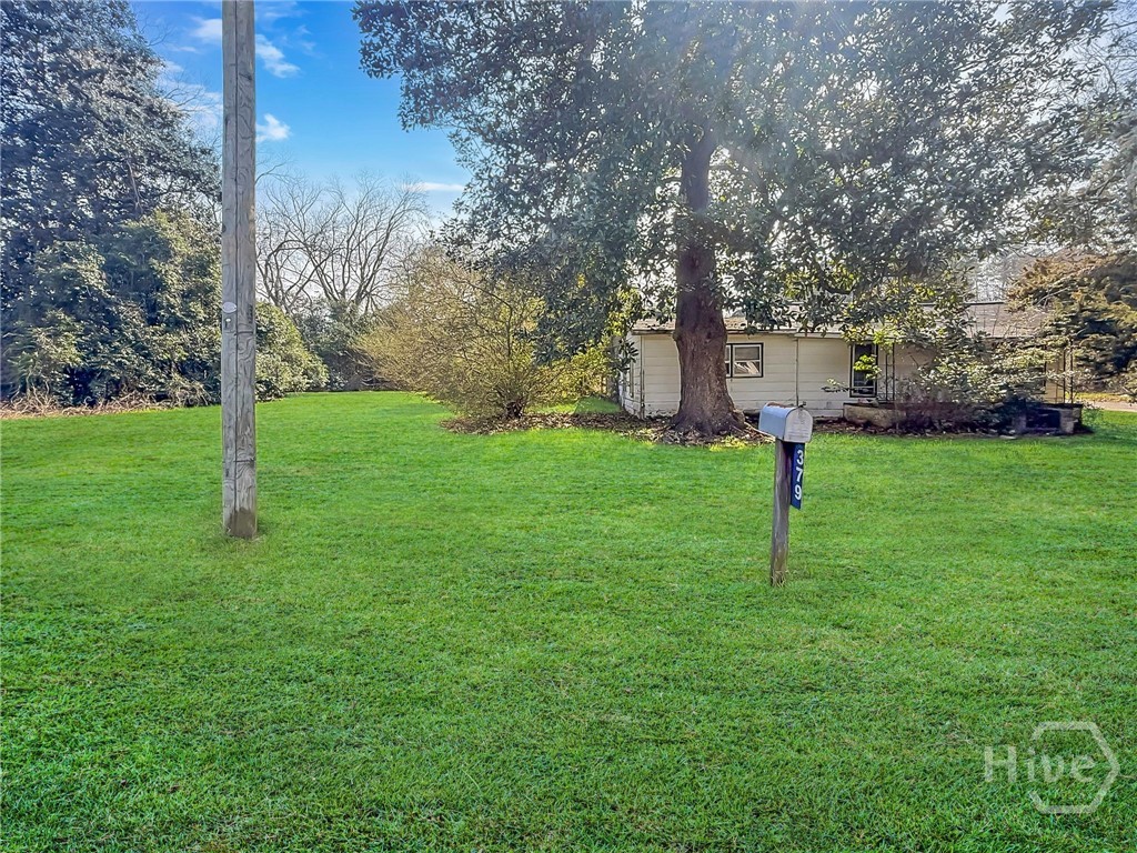 379 Sato Avenue Denmark, SC 29042 - Photo 6 of 10