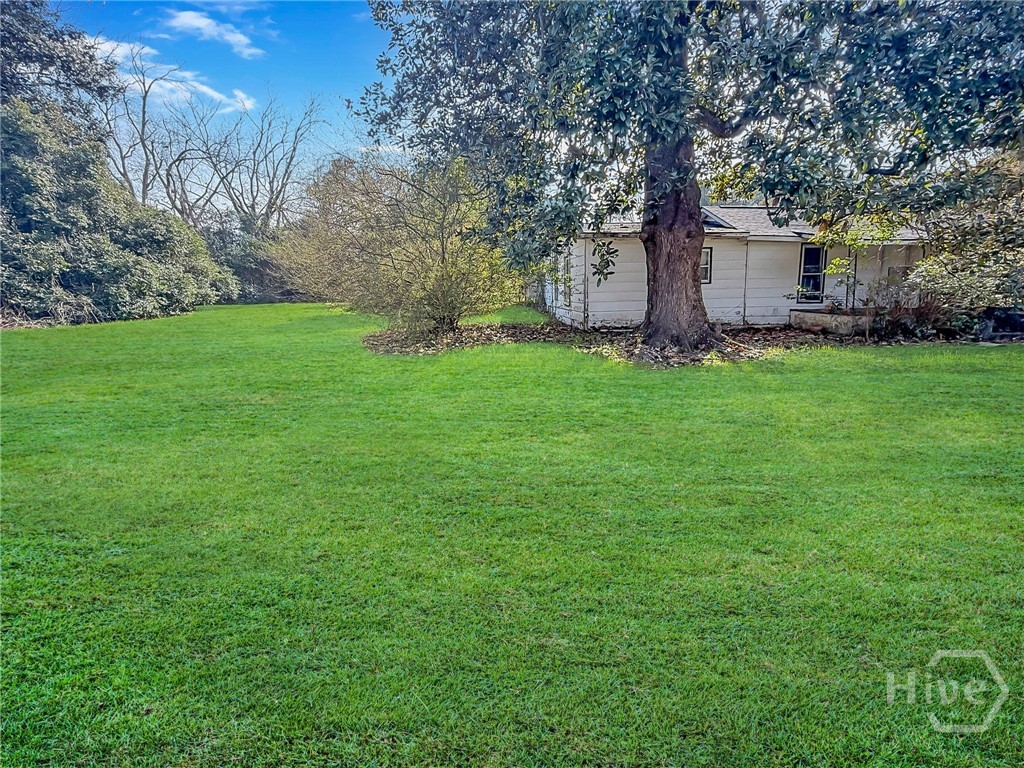 379 Sato Avenue Denmark, SC 29042 - Photo 8 of 10