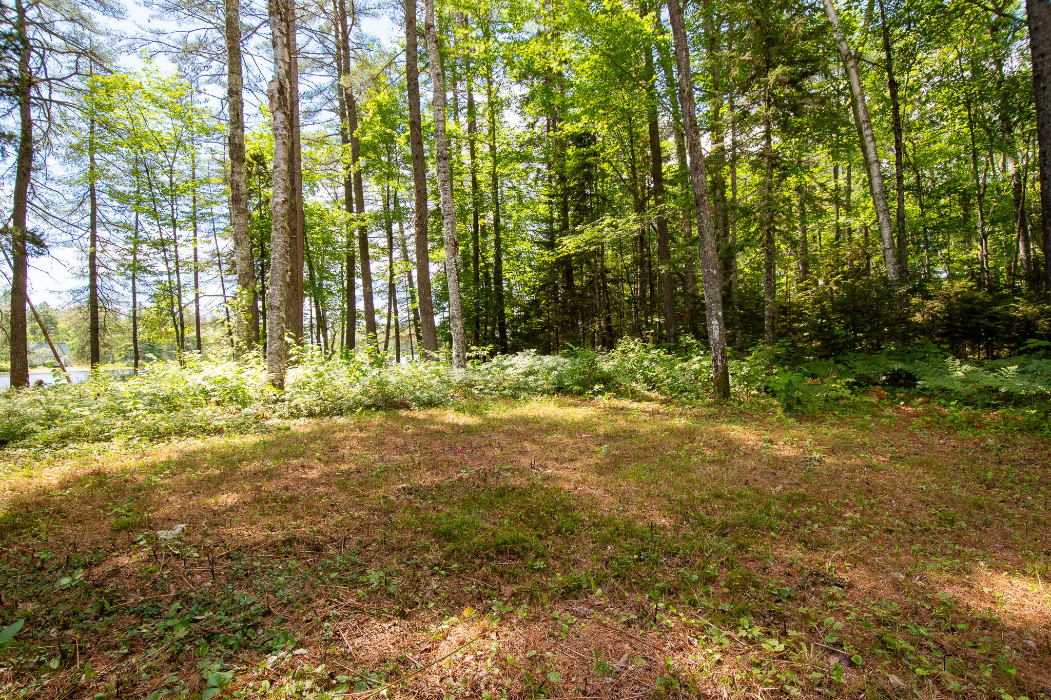 770 Ebeemee Lake Road Brownville, ME 04414 - Photo 42 of 66 DSC_0087