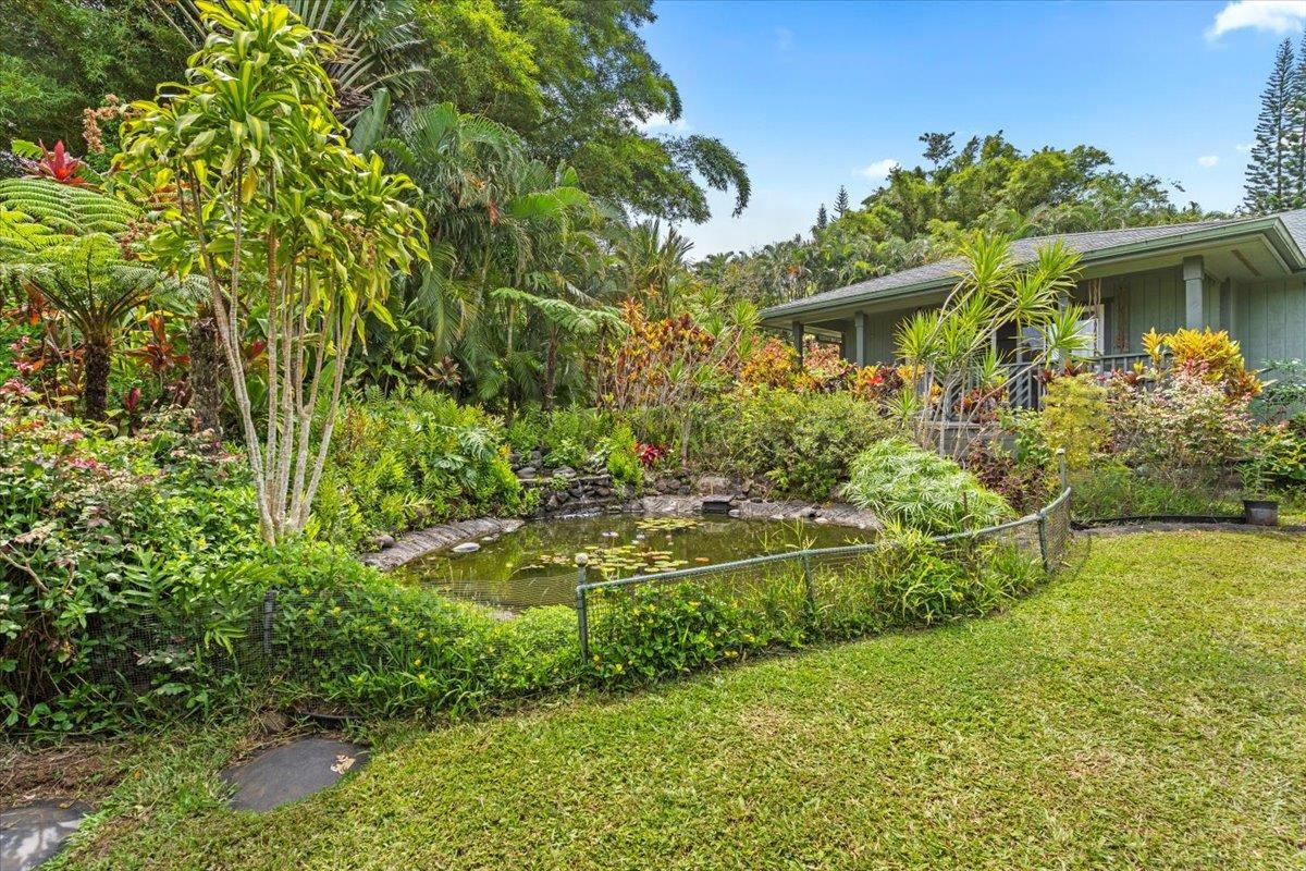 60 Koolau Road Haiku, HI 96708 - Photo 35 of 47 a view of a garden
