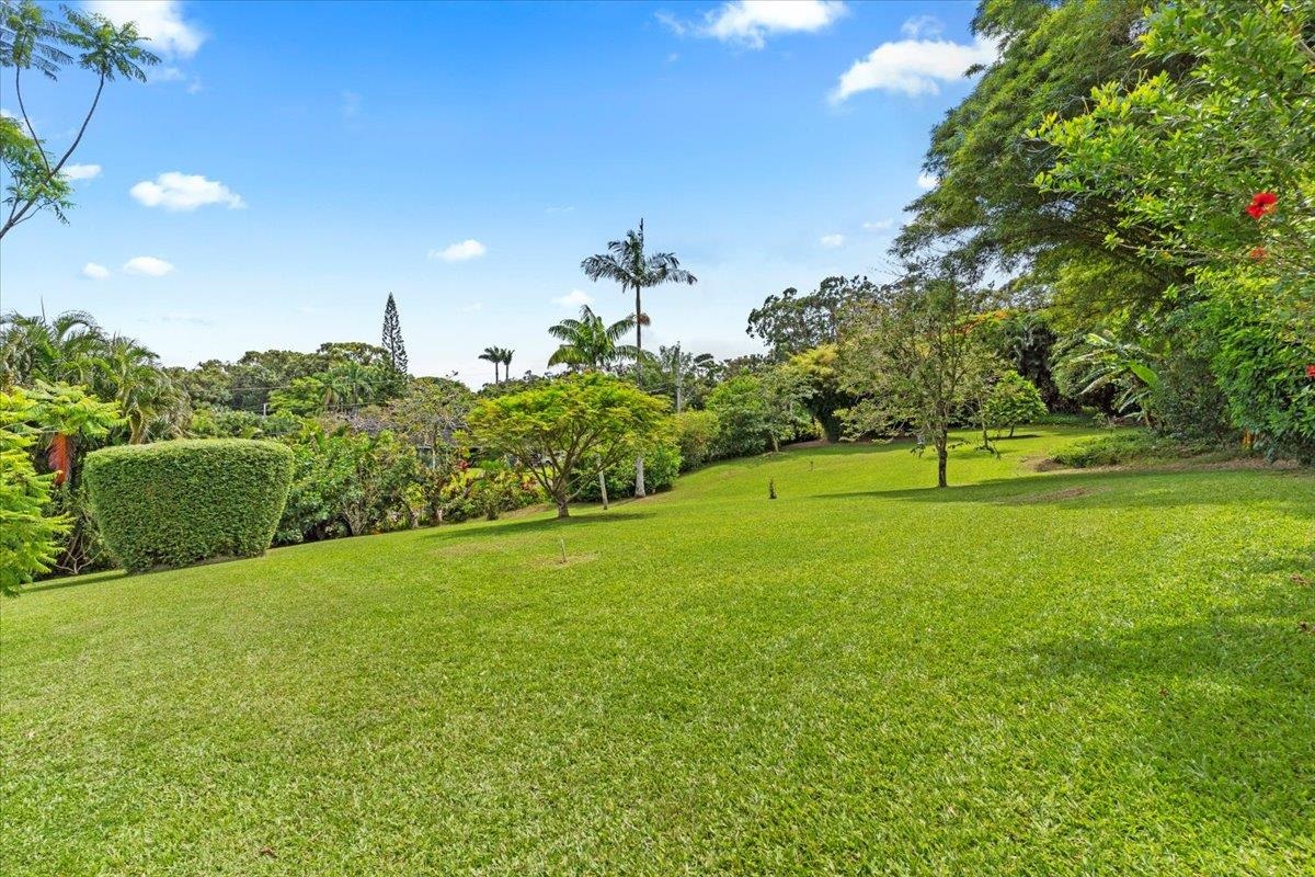 60 Koolau Road Haiku, HI 96708 - Photo 36 of 47 a view of a big yard with a large trees
