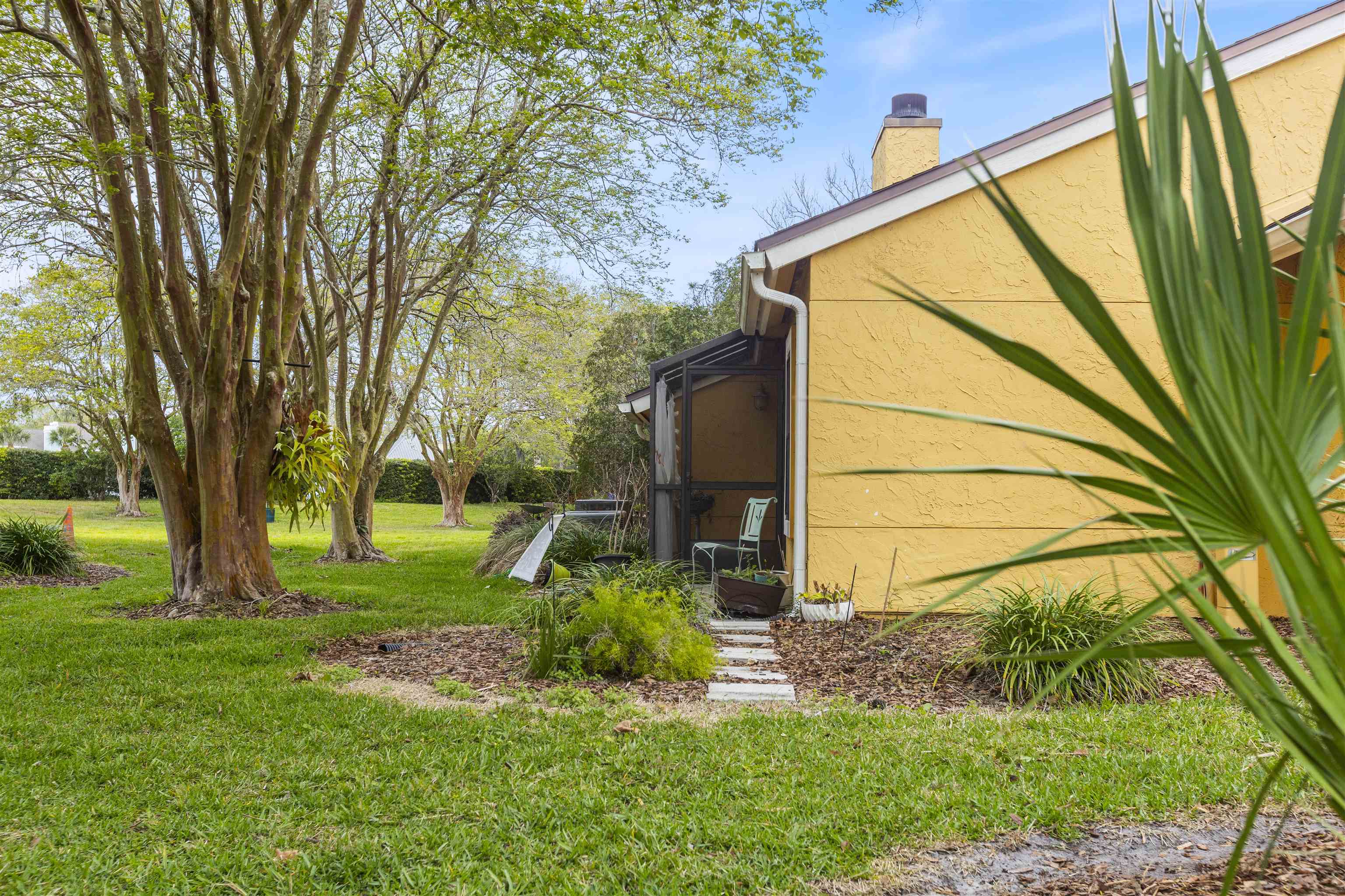 923 Seashell Lane Ponte Vedra Beach, FL 32082 - Photo 53 of 60 a view of backyard with tree