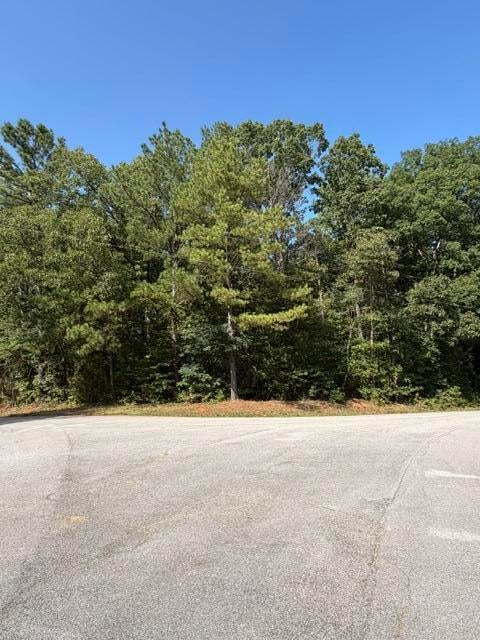 75 County Road Dennis, MS 38838 - Photo 2 of 13 Gallery Image 2