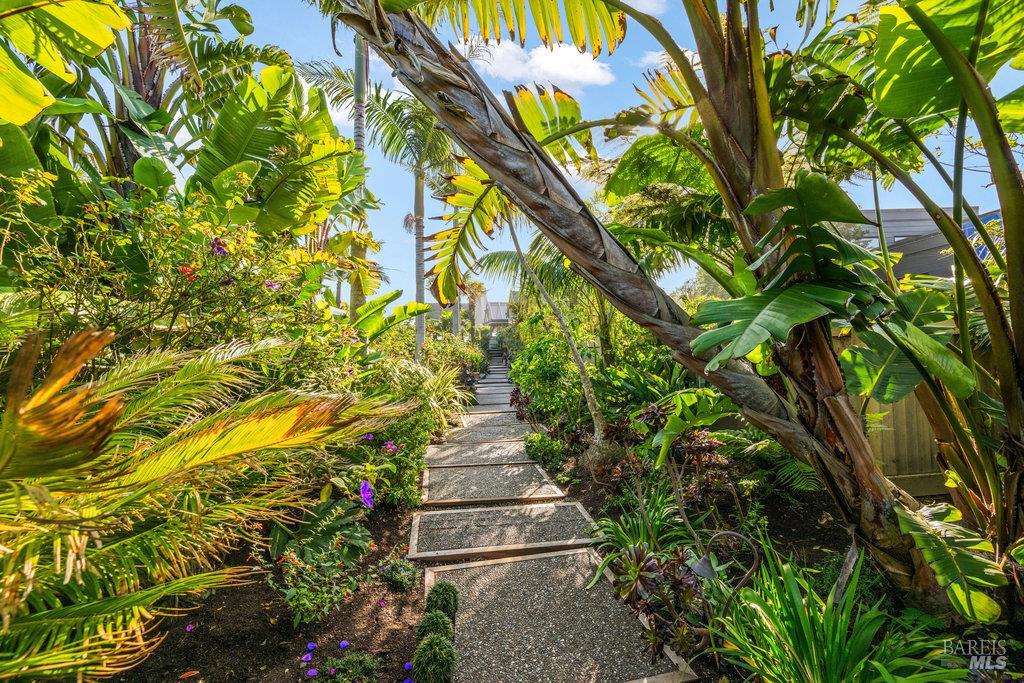 172 Seadrift Road Stinson Beach, CA 94970 - Photo 6 of 23