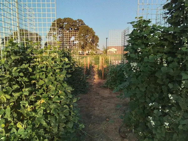 $799,950 | 8305 Bent Tree Drive, Roseville, CA 95747