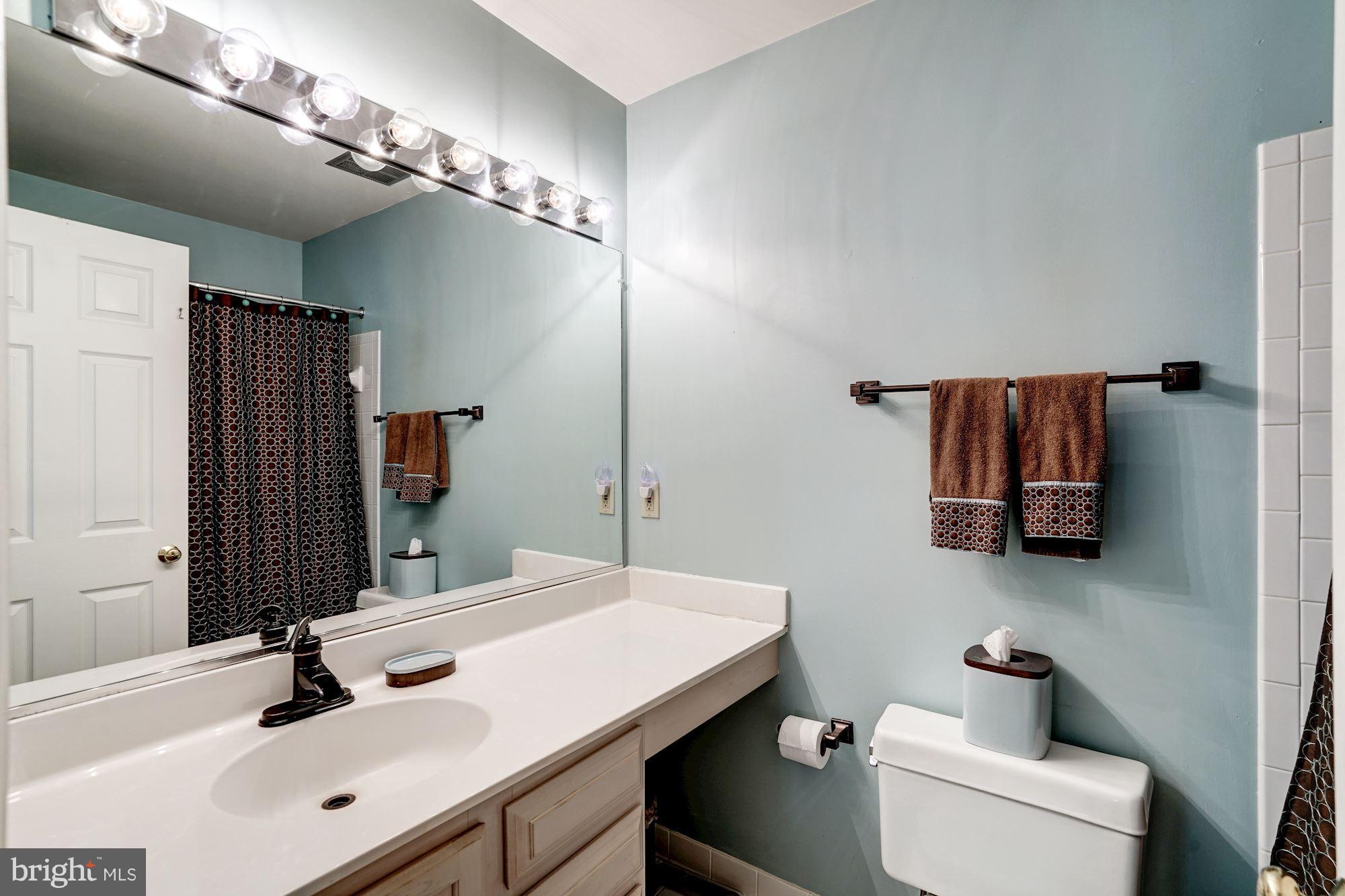 11406 Hollow Timber Way Reston, VA 20194 - Photo 19 of 30 a bathroom with a sink and a mirror
