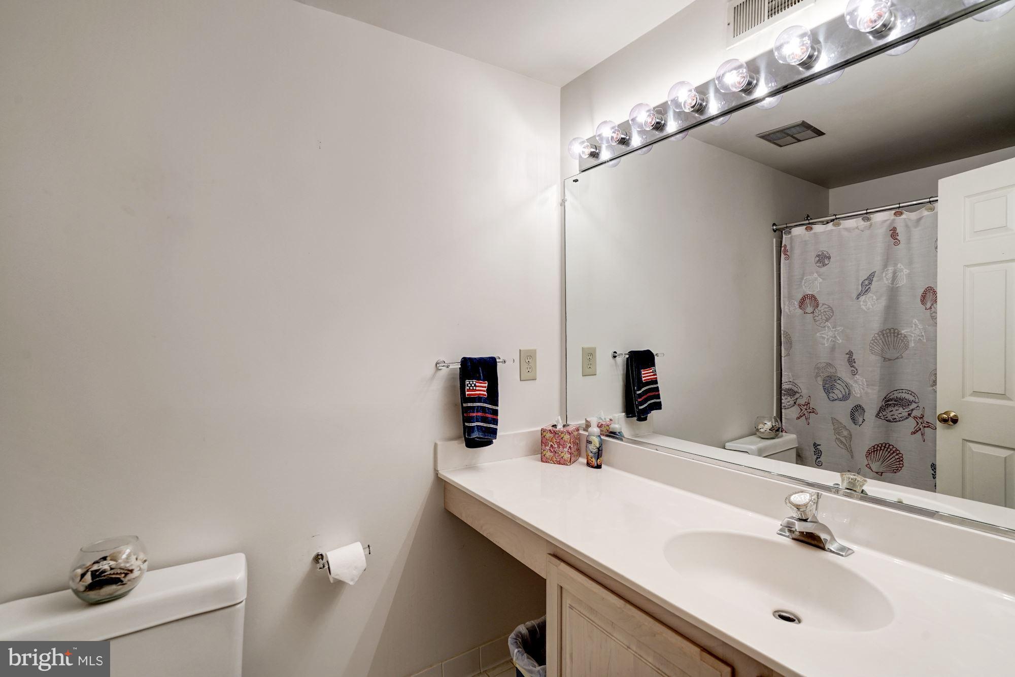 11406 Hollow Timber Way Reston, VA 20194 - Photo 23 of 30 a bathroom with a sink and a mirror