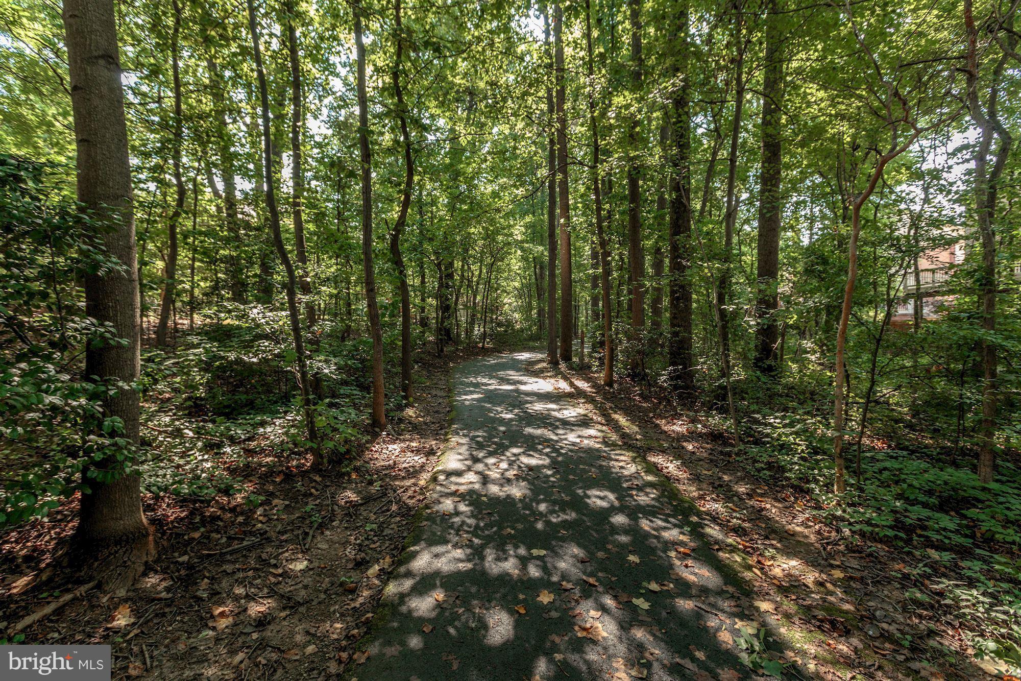 11406 Hollow Timber Way Reston, VA 20194 - Photo 25 of 30 a view of outdoor space and green space