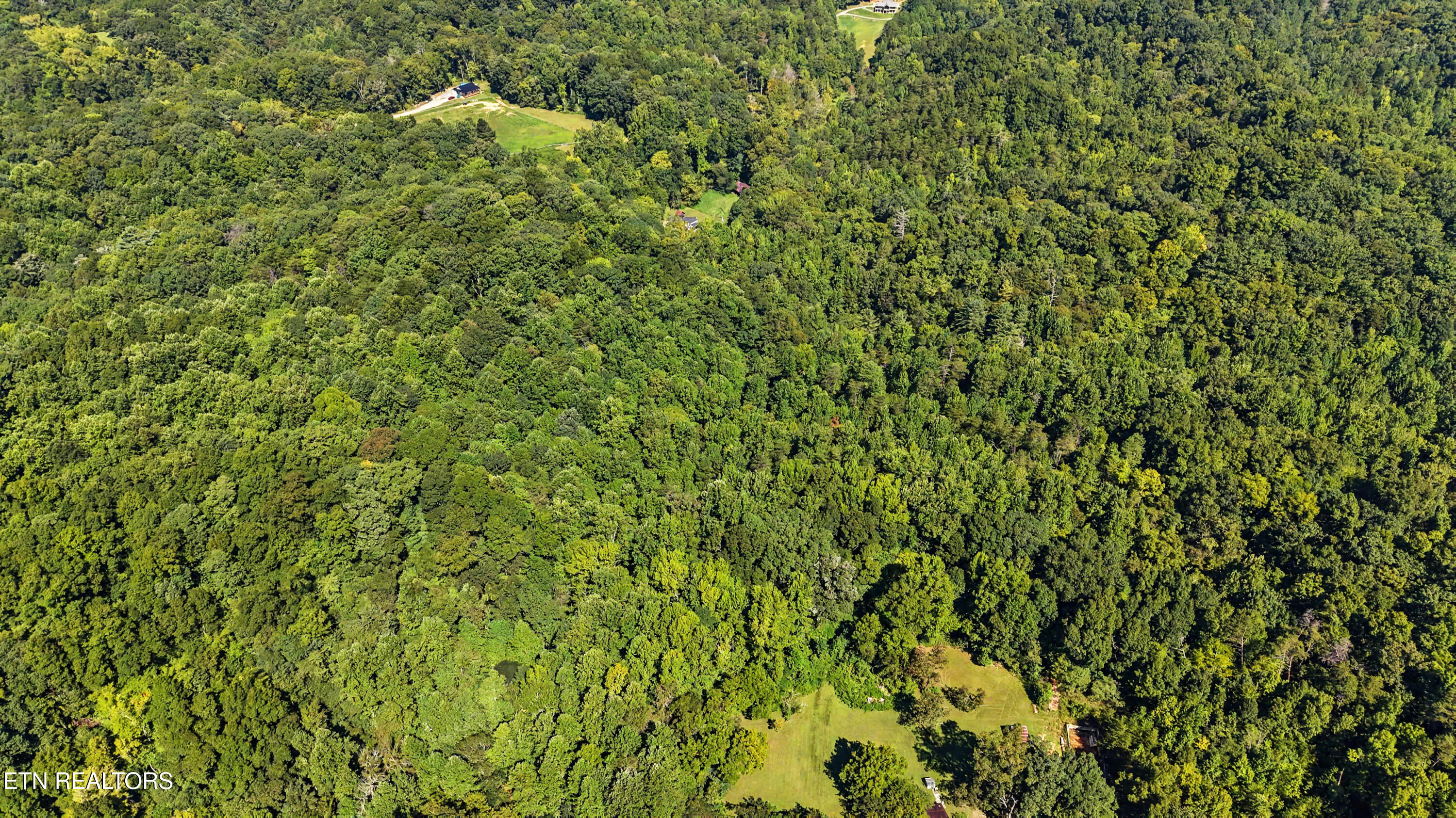 Tract 2-r-3 Cold Springs Road Walland, TN 37886 - Photo 8 of 17 DJI_20260824112441_0149_D-2