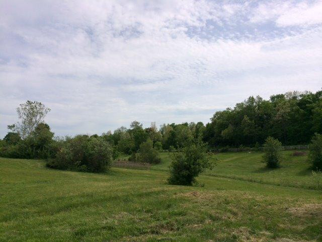 4019 Long Lick Road Stamping Ground, KY 40379 - Photo 22 of 31 Photo 22