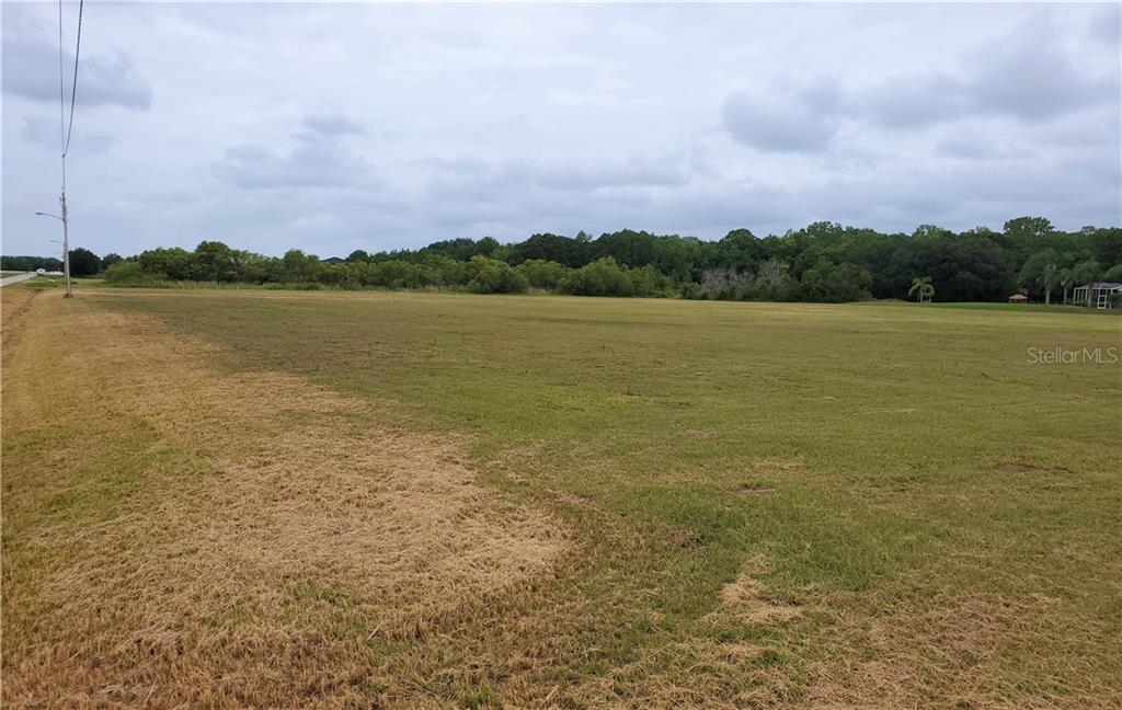 Lithia Ranch Road Lithia, FL 33547 - Photo 1 of 1 PHOTO FROM SOUTHEAST CORNER OF PROPERTY