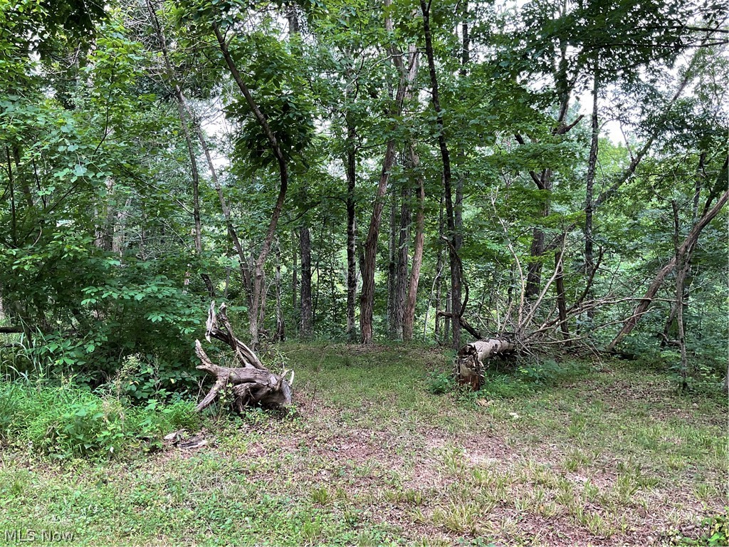 2345 Heldman Road Wingett Run, OH 45789 - Photo 33 of 39