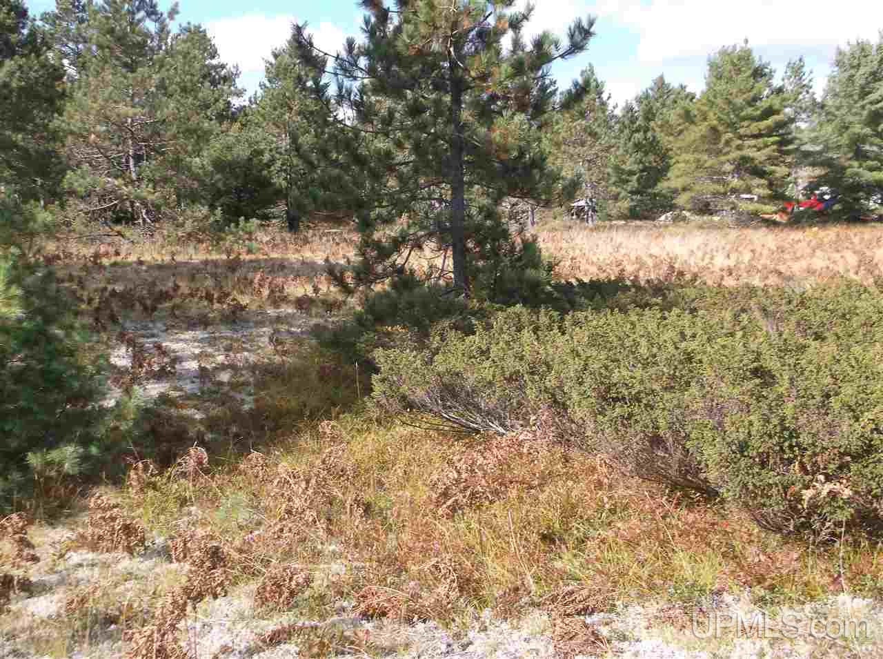 Tbd Bete Gris Road, Unit 26 & 37 Mohawk, MI 49950 - Photo 17 of 22 Gallery Image 17