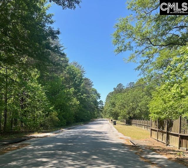 175 Geiger Lane Gaston, SC 29053 - Photo 8 of 14